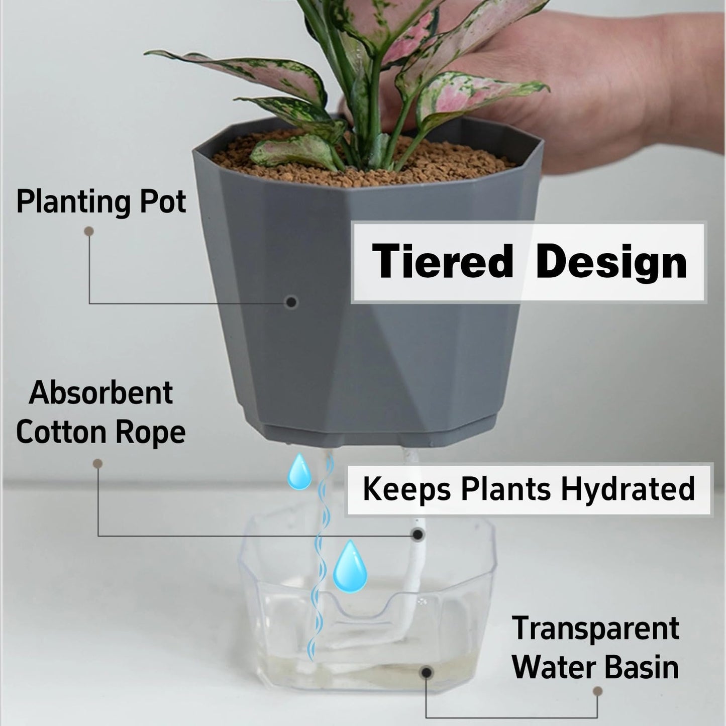 BovcTrraann 4 Packs Self Watering Plant Pots, Plastic Flower Pots with Drainage Hole and Saucer, Self Watering Planters for Indoor Outdoor Garden Plants, African Violet, Herbs (White, 5")