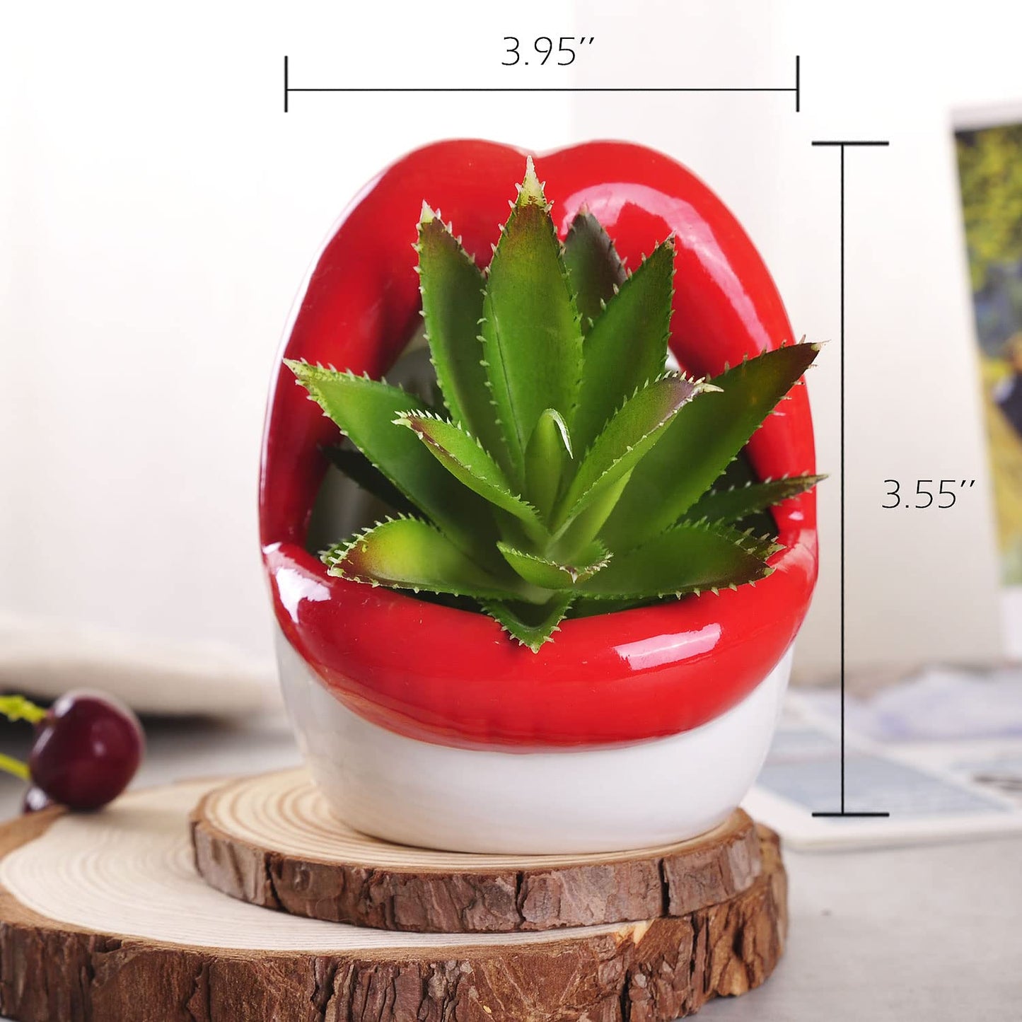 WHJY Sexy Lips Planter Pot, Ceramic Succulent Planter - Red