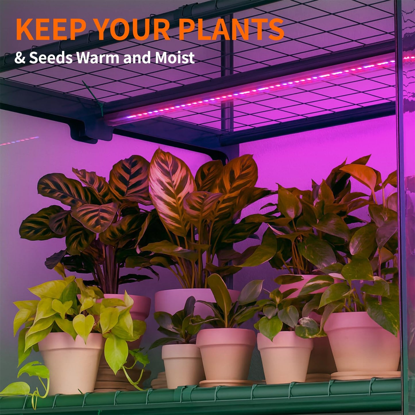 Indoor Greenhouse with Grow Light, 4-Tier Mini Greenhouse 27.6"x19"x63" Small Greenhouse with Zippered PVC Cover for Seed Starting Trays, Dimmable Plant Light for Indoor Plants with Timer