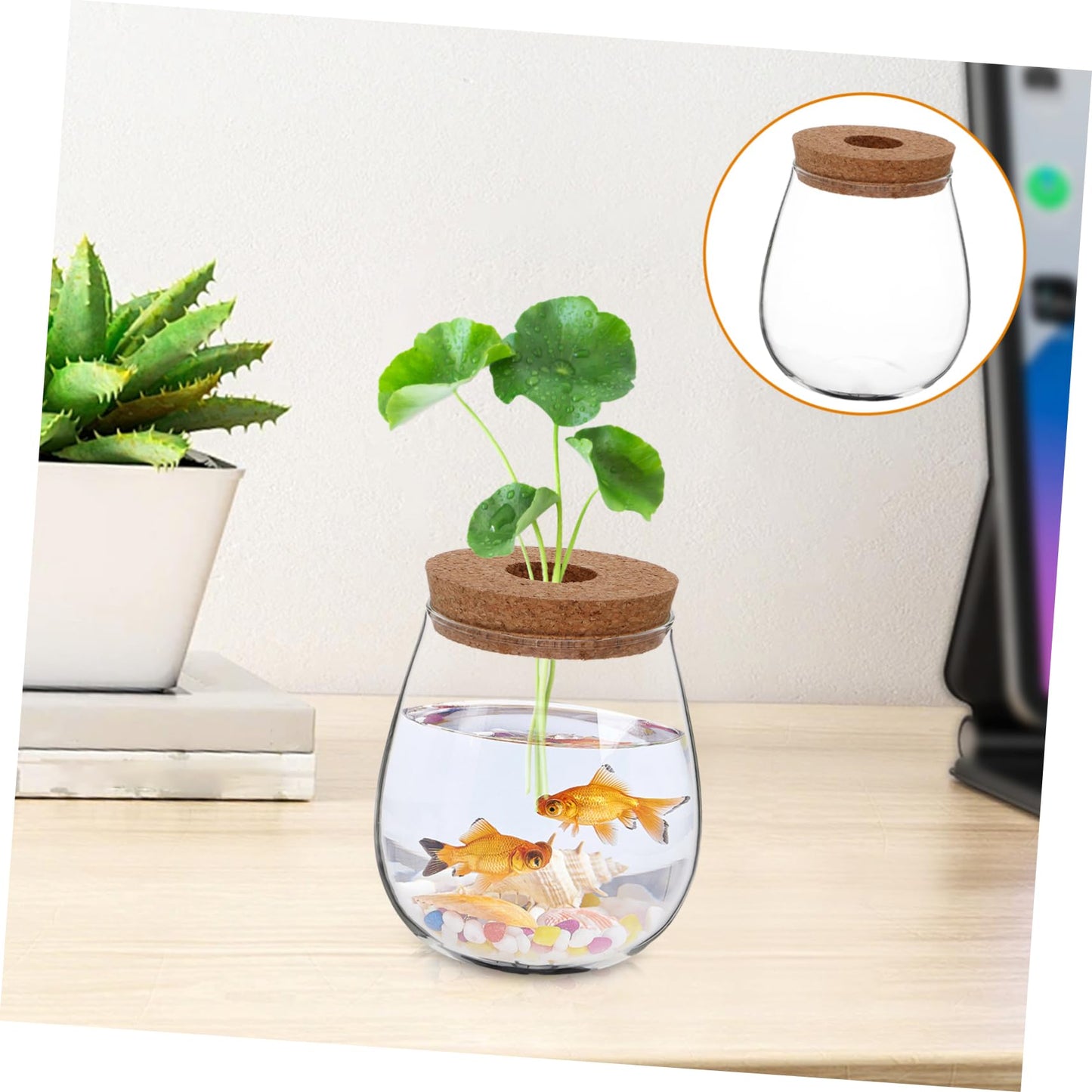 FUNOMOCYA Creative Glass Hydroponic Planter Modern Transparent Vase for Indoor Plants Elegant Desktop Propagation Terrarium Glass Aquarium for Spaces and Home Decor