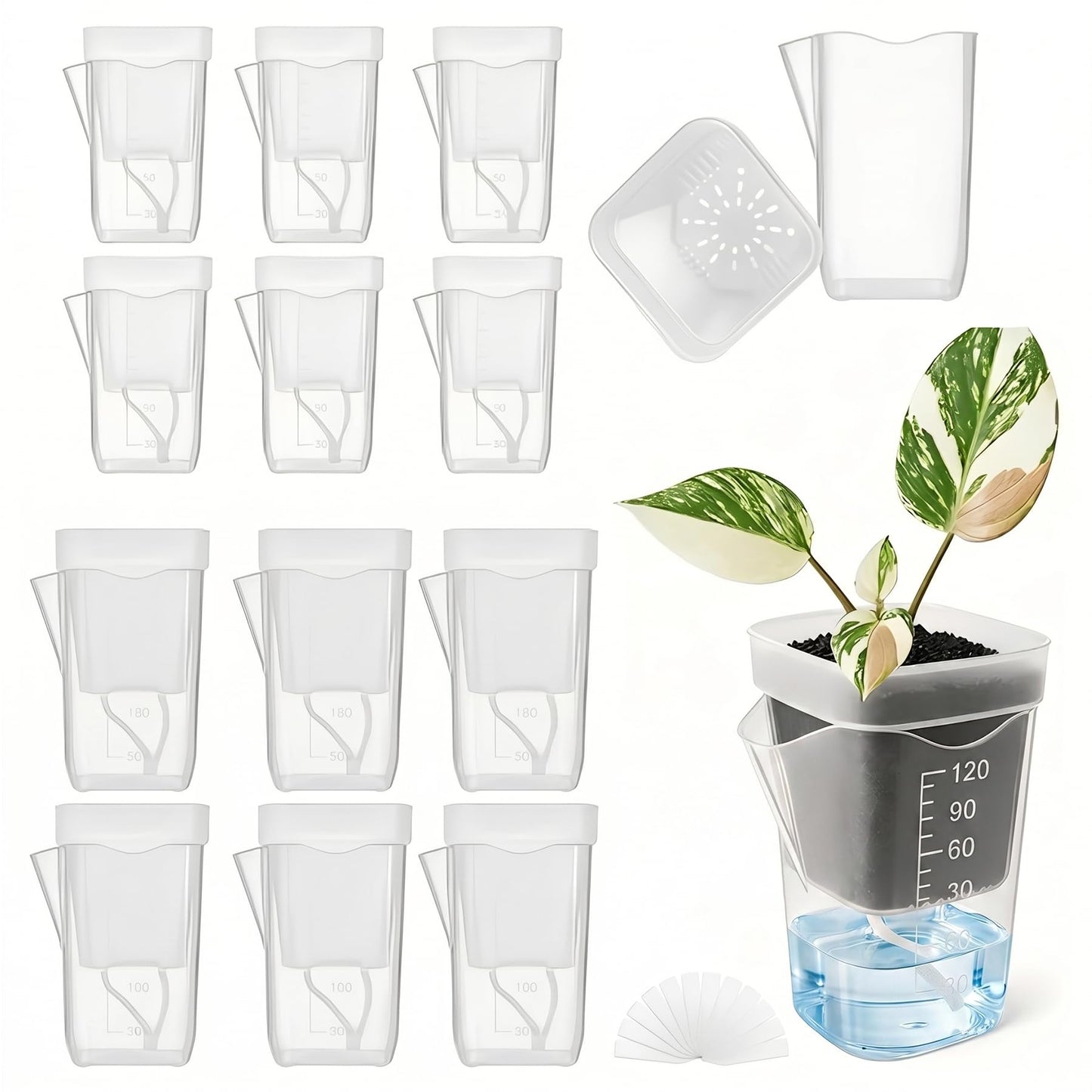 MLIYYBE 12 Set Small Self Watering Pots for Indoor Plants, 6Pcs 2'' & 6Pcs 2.5'' Clear Plastic Planters, Nursery Pots with Wick System, Water Level Indicator & Drainage Holes with 12 Plant Labels