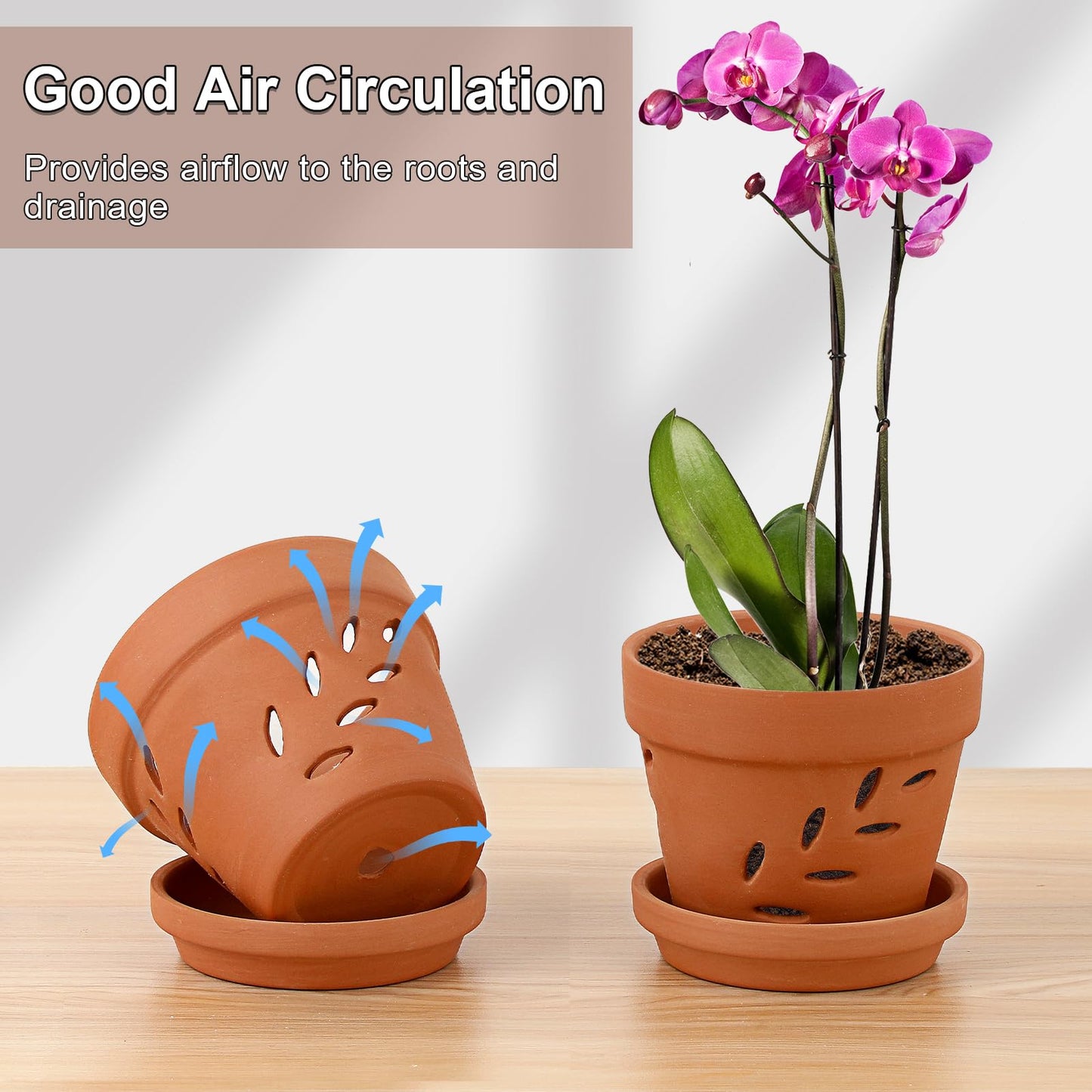 JUXYES 6 Pack Small Terracotta Orchid Pots with Holes and Saucers, Clay Orchid Planter Pots for Repotting, Plant Flower Pots for Orchid Indoor and Outdoor Promotes Air Circulation, 4 Inches