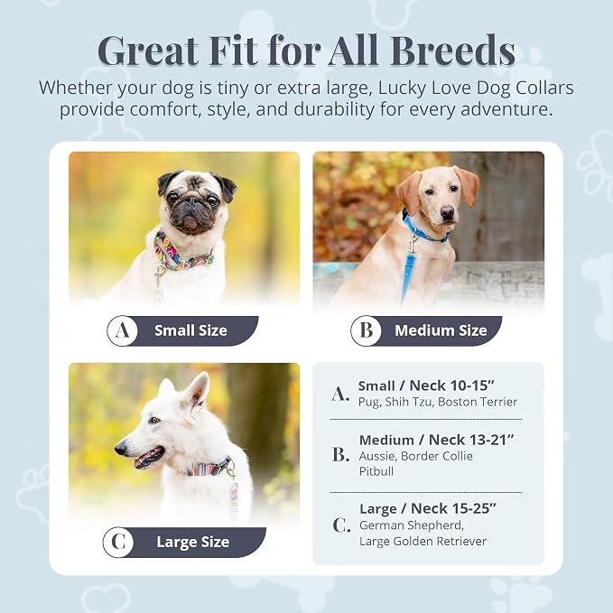 Lucky Love Dog Martingale Dog Collar & Leash - Adjustable, No-Slip, Durable, Comfortable, Soft Webbing, & Stylish Patterned Dog Collar & Leash Set for Male and Female Dogs - Linus Combo, Medium