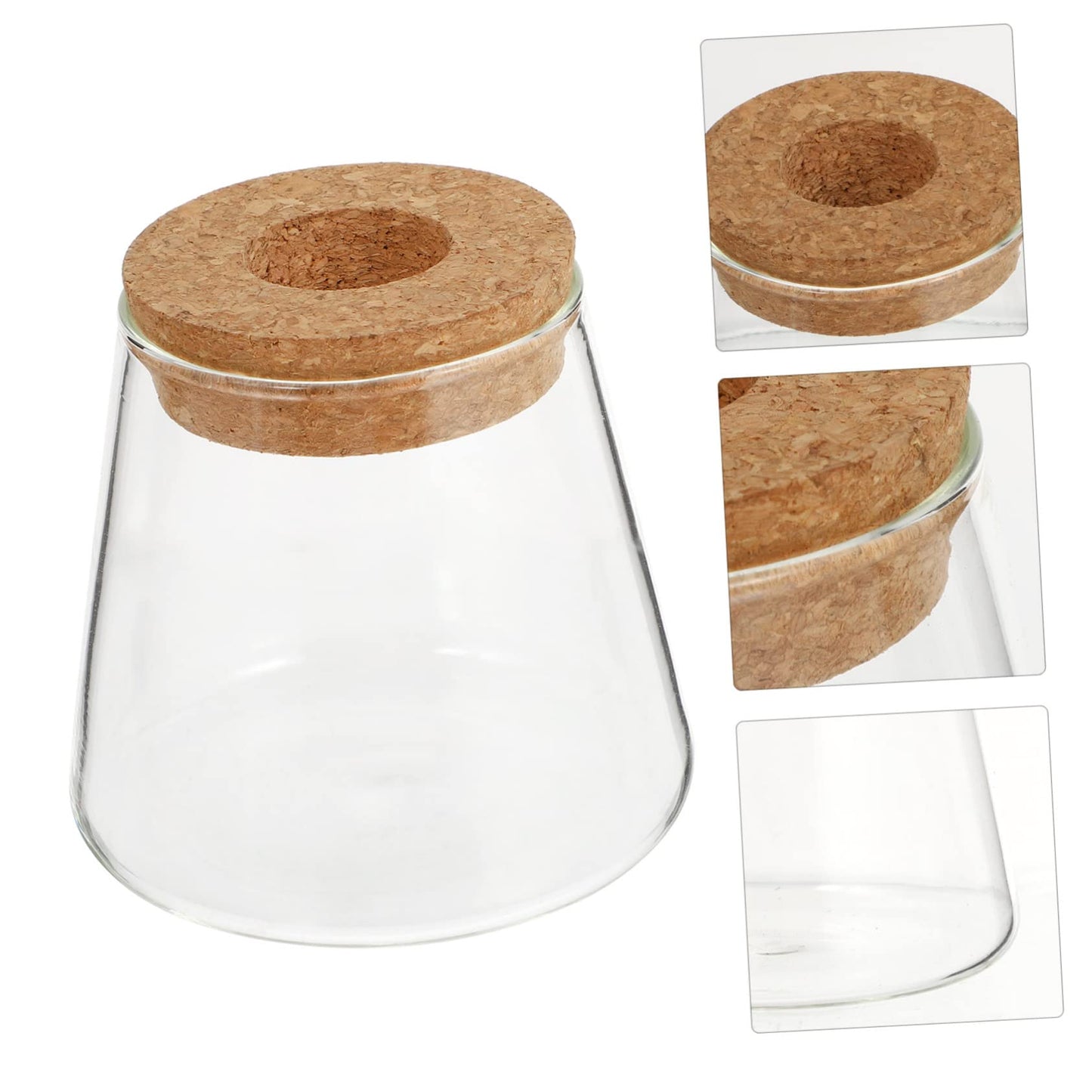 Zerodeko 2Pcs Hydroponic Plant Glass Vases Desktop Terrarium Clear Propagation Containers for Indoor Plants Home Decoration Garden Lovers