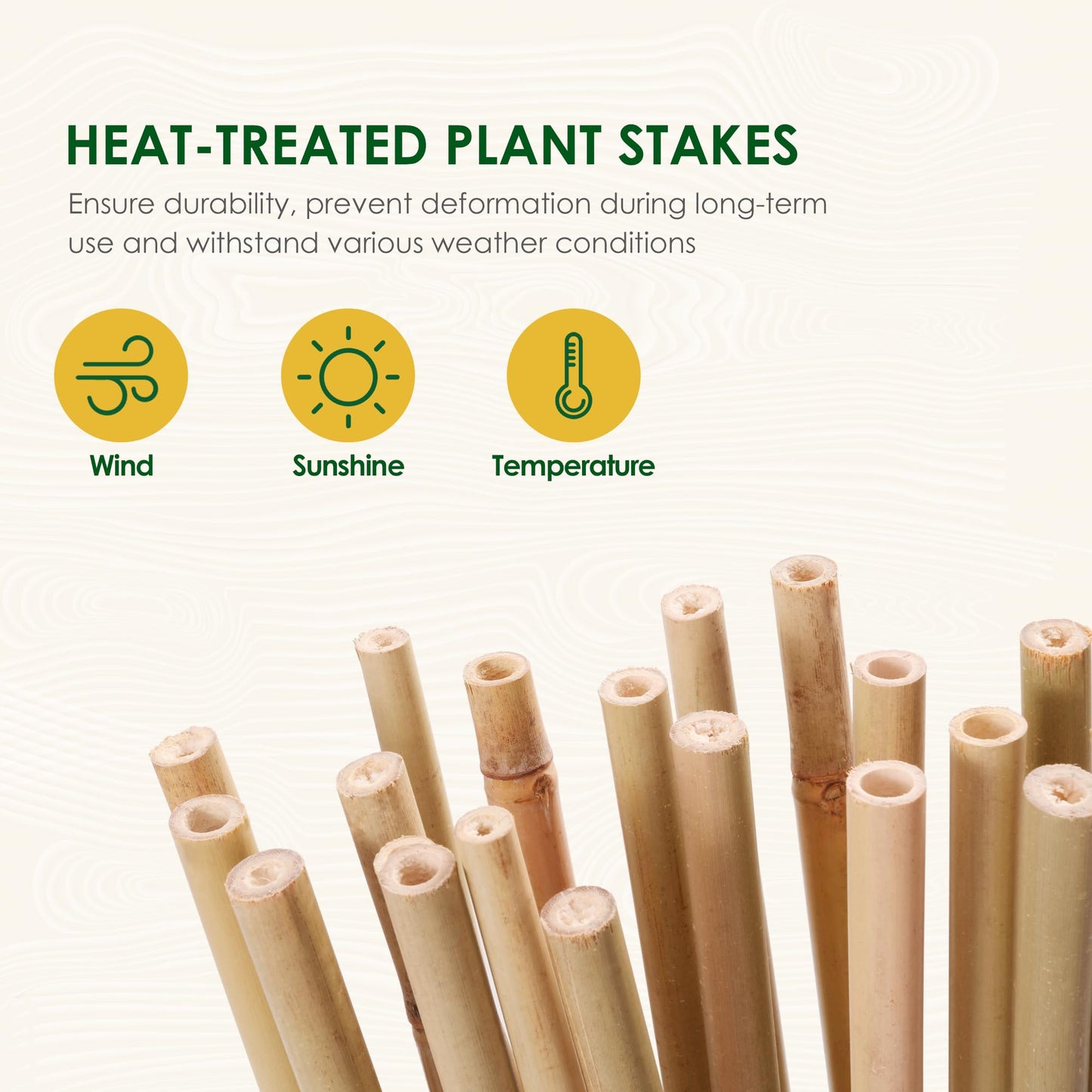 Cambaverd Bamboo Sticks for Plants 2 Feet Bamboo Stakes for Indoor Gardening Plant Stakes Supports Potted Plants Mini Trees Garden Stakes - Pack of 30 Bamboo Poles