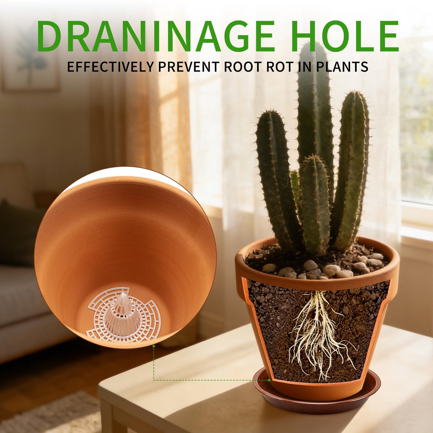 Seuqhck 6 Pack 6 Inch Terracotta & Clay Pots with Saucer for Plants, Breathable Clay Planters Flowerpot Terra Cotta Flowerpot with Drainage Hole for Indoor Outdoor Gardening Succulents Home Decor