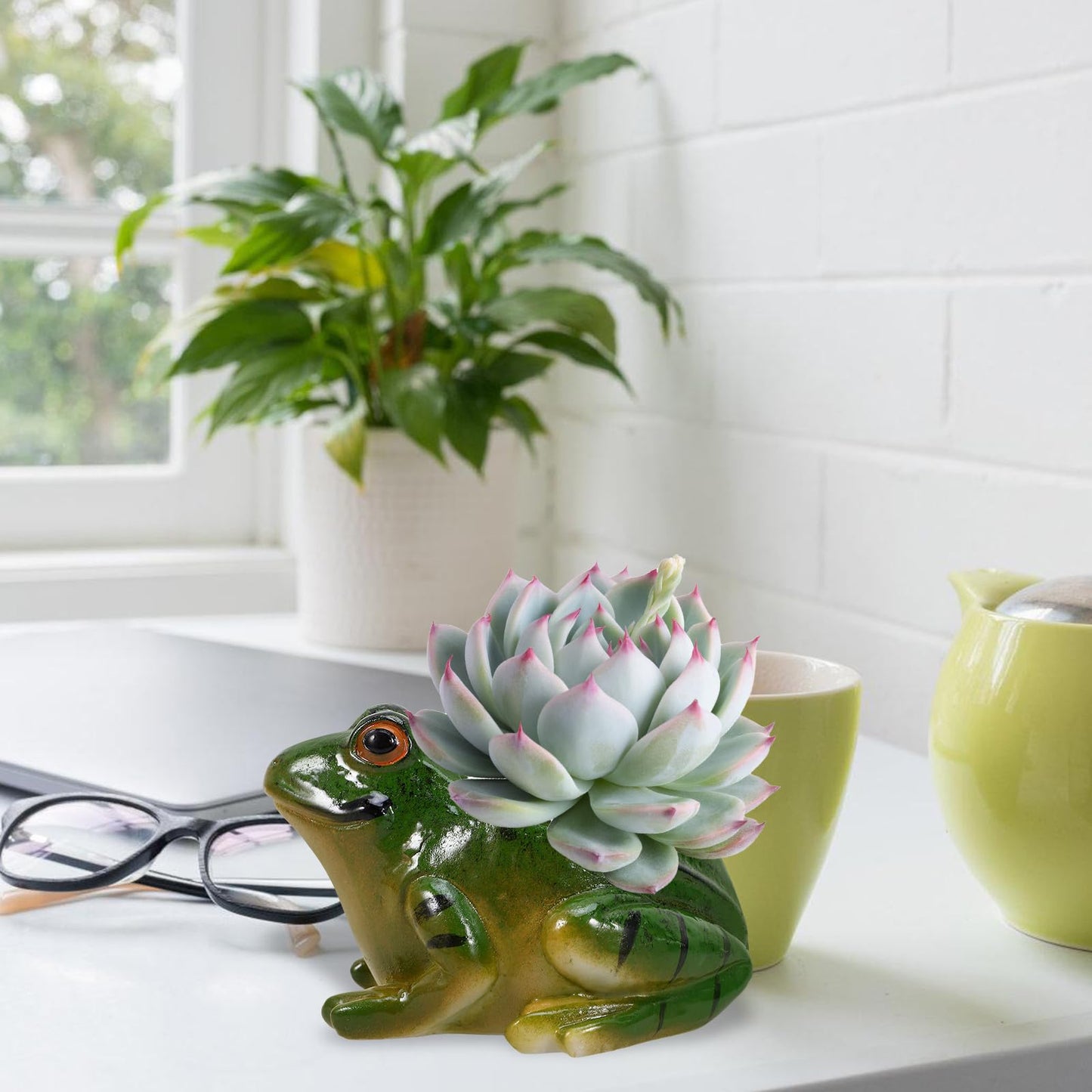 Hemoton Ceramic Frog Planter 4.44X4.05X2.75 Inch Succulent Plant Pot Decorative Flowerpot for Indoor Home Office Garden Desk