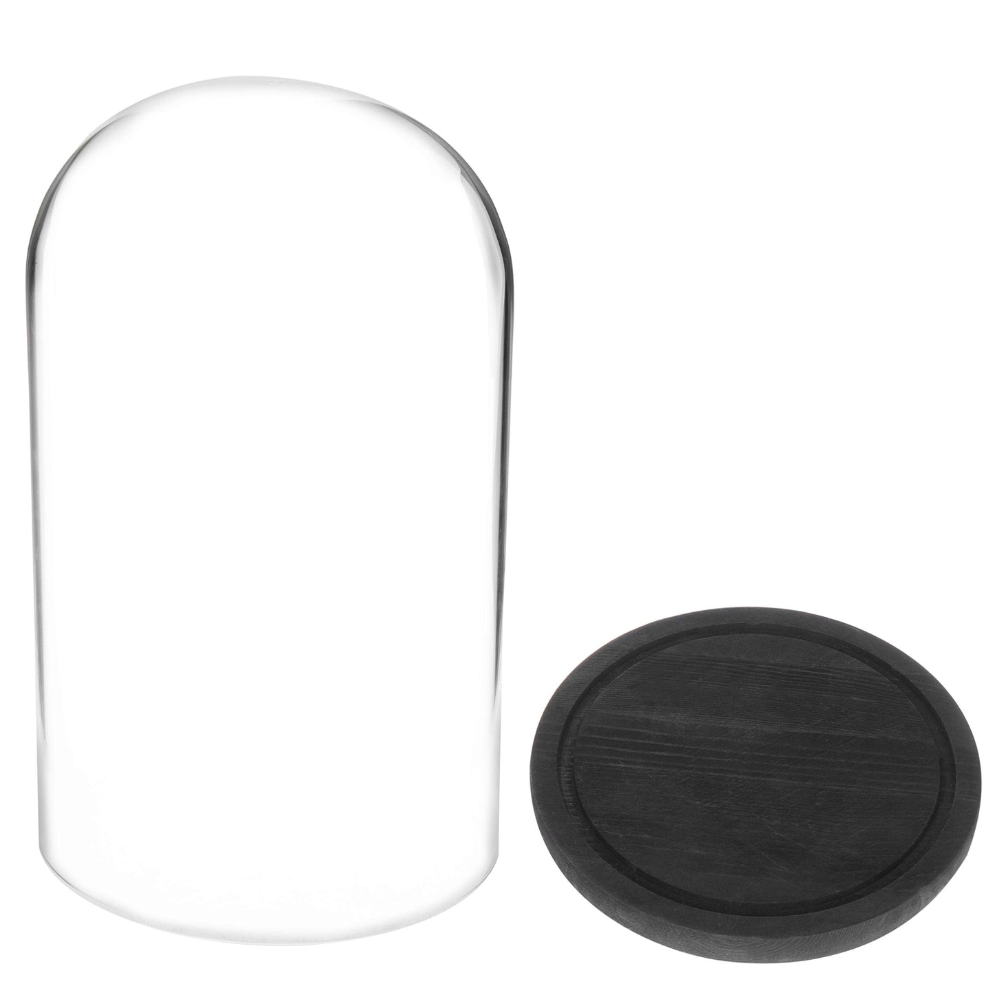 MyGift The Bell Jar Glass Cloche with Black Wood Base, 10 Inch Tall Clear Decorative Glass Dome Display for Plants, Curios, Keepsakes, Heirlooms