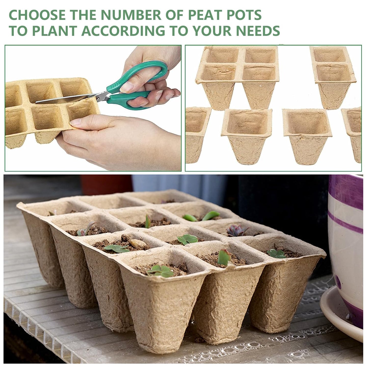Doubleggs 240 Cells Seed Starter Tray, 20 Pack Biodegradable Peat Pots with 200 Labels, Plant Starter Kit for Seedlings