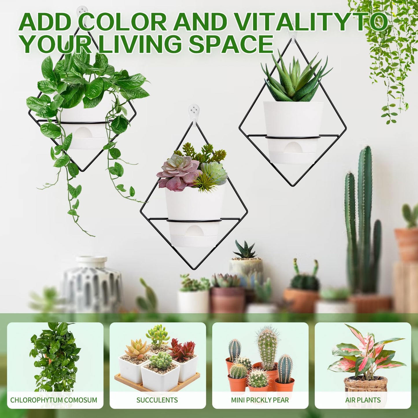 Koalaime 3 Sets Wall Planters for Indoor Plants Geometric Hanging Planters for Indoor Plants - Self-Watering Flower Pots with Black Metal Holder, Mounted Succulent Planter, 5" Black Plant Pot