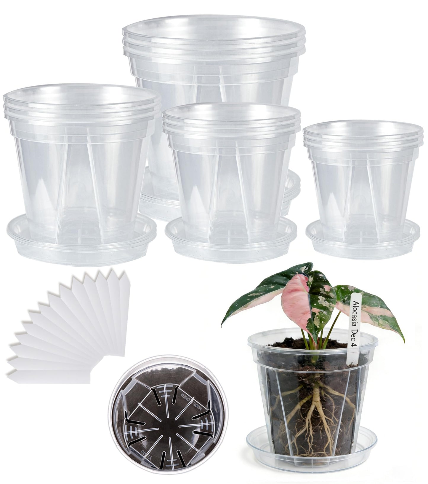 12-Pack Thick Clear Nursery Pots with Saucers (4/5/5.5/6.3 Inch) – Transparent Plastic Plant Pots with Drainage Holes & 12 Labels, Assorted Sizes for Seed Starting, Succulents, Indoor Outdoor Use