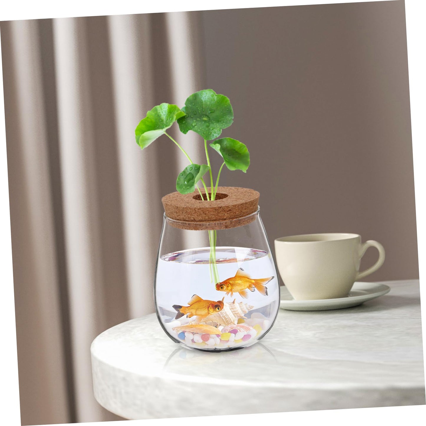 POPETPOP Modern Hydroponic Glass Vase Compact Desktop Planter for Terrariums Flower Holder for Aesthetic Home Decoration for Observing Plant Growth