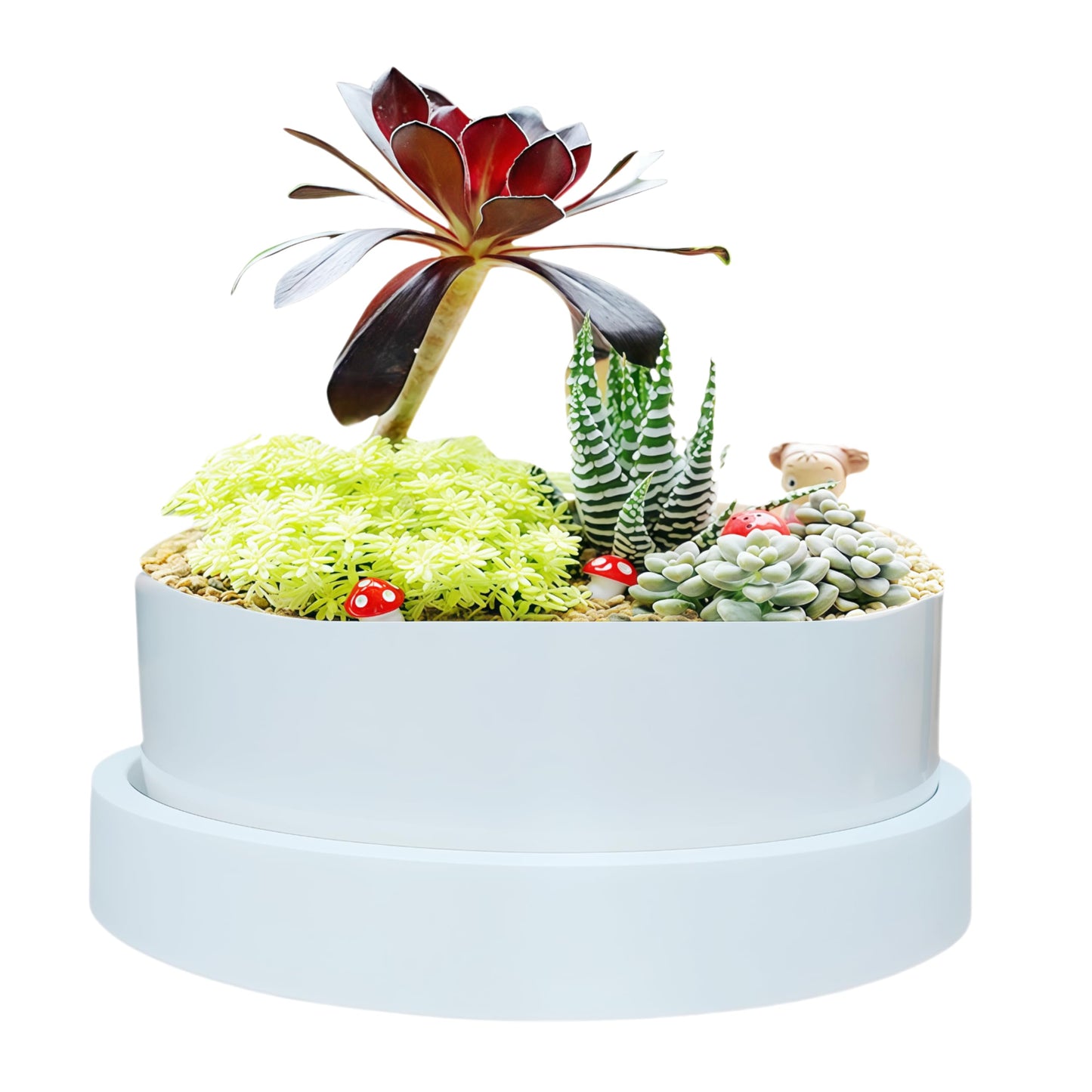 SJBAG Cute Circular Ceramic Home Garden Decoration Succulent Cactus Flower Pots Container with Tray -Plant Not Included (6 Inch White)