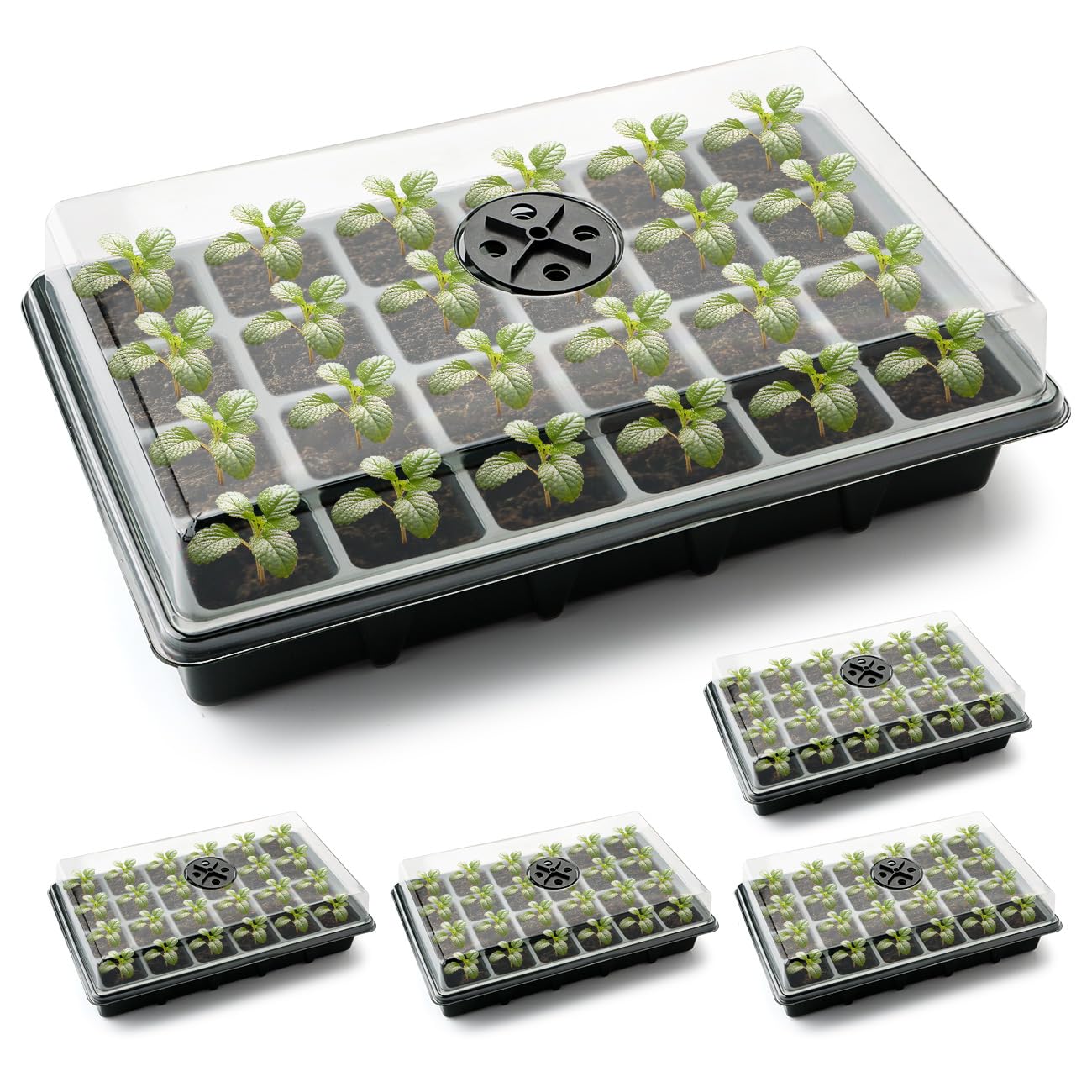 24XL Cell Seed Starter Tray with Dome, 5-Pack 2" Plug Seedling Trays (Total 120 Cells), Plant Germination Tray with Humidity Vented Lid and Base, Mini Propagator Plant Greenhouse for Seed Growing
