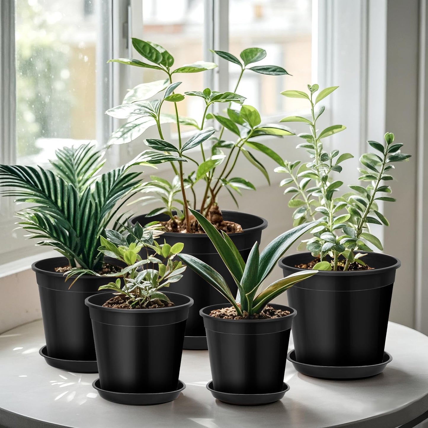 FUIJOL 2 Gallon Plastic Pots with Drip Trays, Sturdy Gallon Plant Pots with Drainage Holes, Large Plastic Planter for Flowers, Ideal for Indoor and Outdoor Use (2Gallon-10PACK)