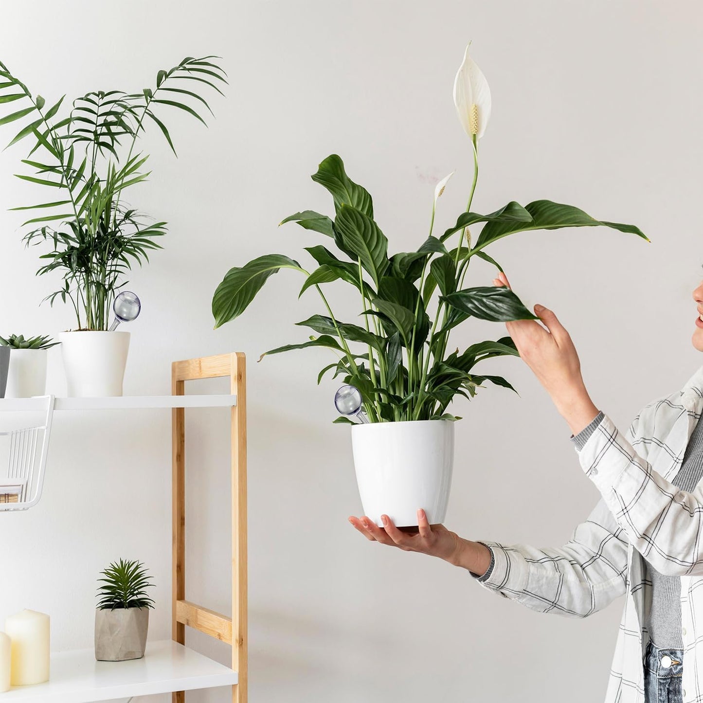 Dorphy Self Watering Globes for Plants - Automatic Watering Bulbs for Indoor & Outdoor Potted Plants, Vacation Plant Care, Water Conservation Device