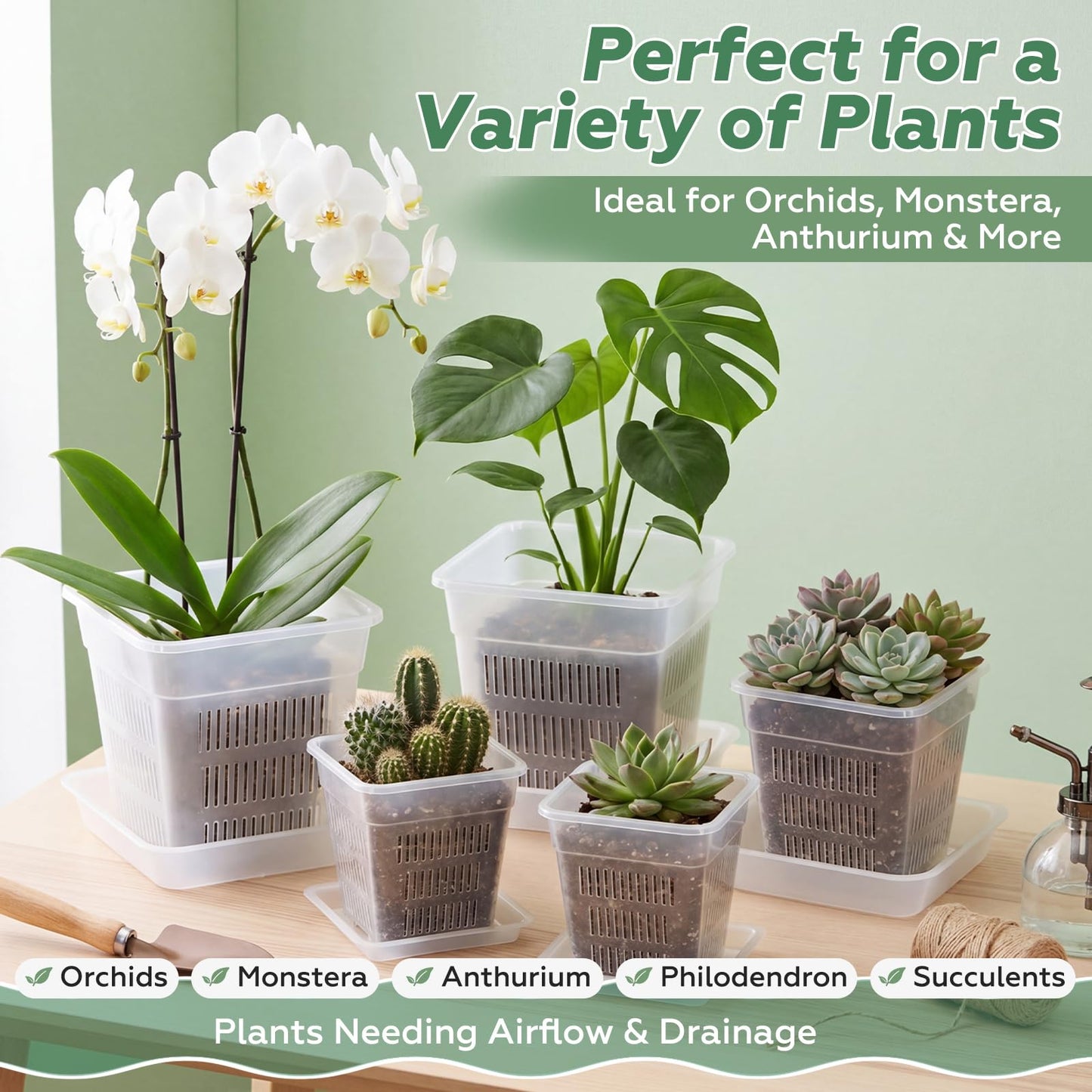 Wonderjune 6 Set Clear Orchid Pots with Holes and Saucers, 2 Each of 4", 4.7", 5.9" for Repotting, Plastic Planter Flower Slotted Square Nursery Pots with Drainage for Root Health Indoor Outdoor
