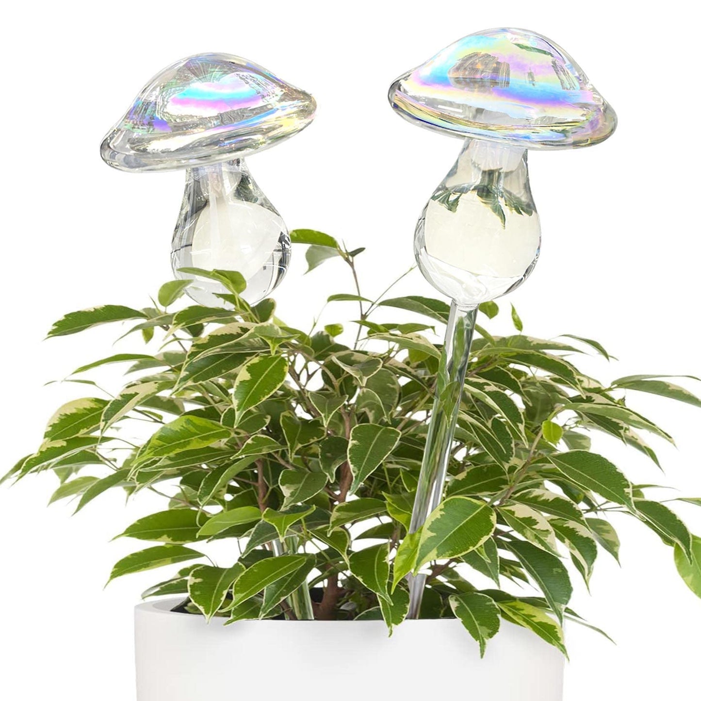 Kingbuy Iridescent Mushroom Self-Watering Globes for Plants - 2 Pack Automatic Plant Waterer Indoor/Outdoor, Plant Watering Devices with Continuous Moisture Supply, No Electricity Needed