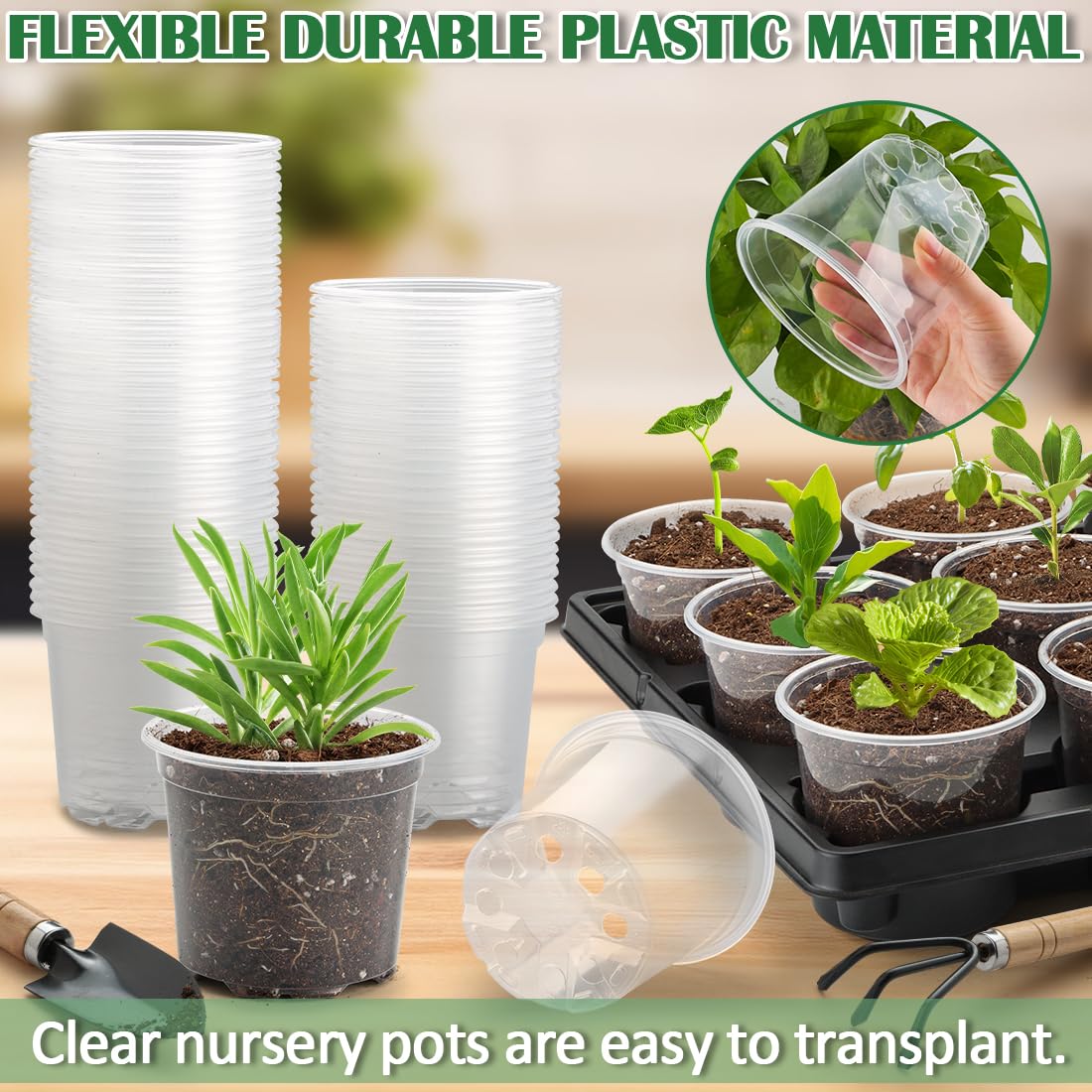 RooTrimmer 12 Cell Nursery Pot Trays 5 Pack with 4 Inch Clear Plant Pots 60 Pack, Thick Sturdy Seeds Starting Germination Shuttle Carrying Trays, Black Small Planter Nursery Propagation 5 Sets
