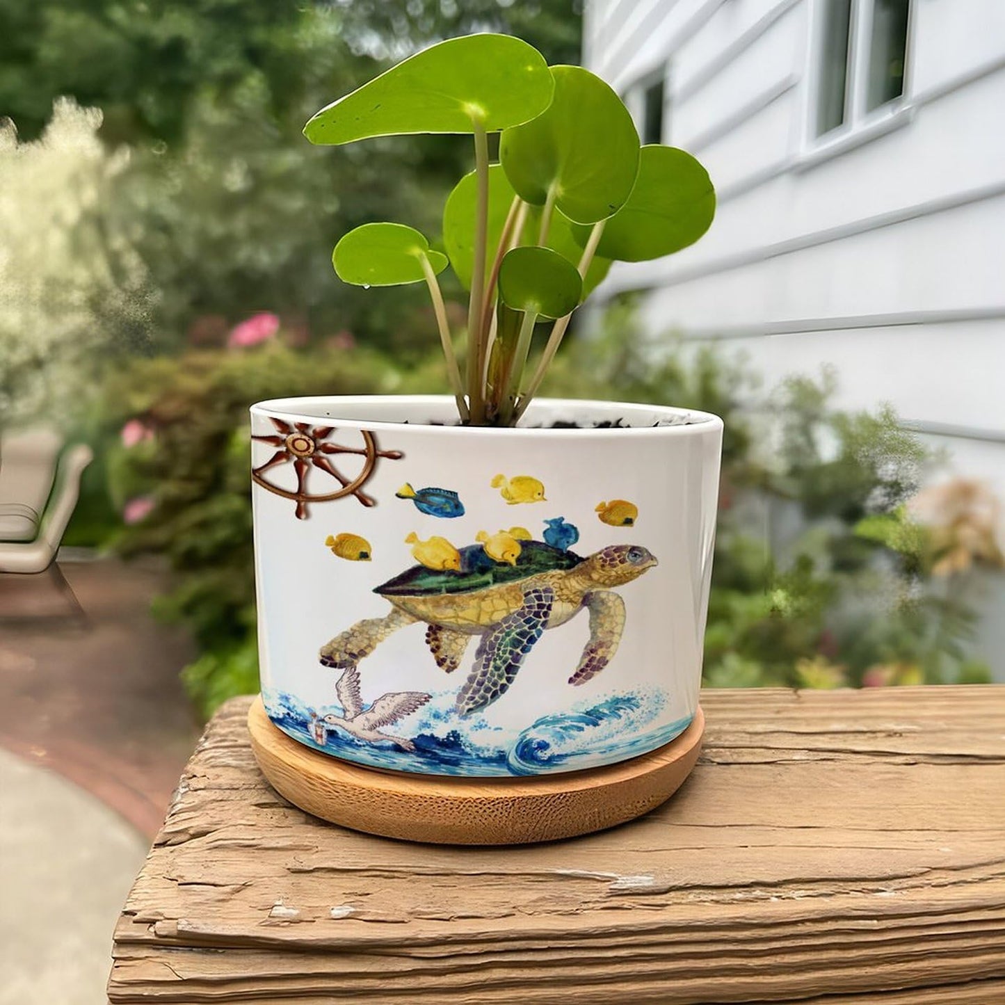 DreamAutumn Ocean Theme Sea Turtle Ceramic Pots for Plants with Drainage Holes Round Flower Pot Bamboo Tray Orchid Pot Succulents Pots for Outdoor Indoor Plants,Housewarming Gifts