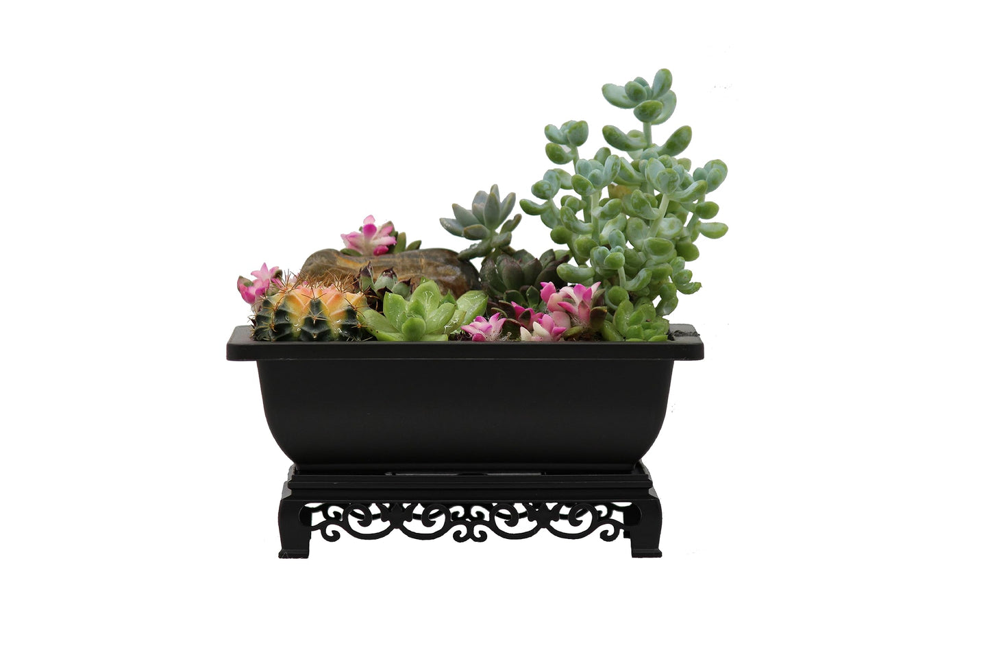 Cotta Planters Bonsai Pots 7.5 Inch Antique Brown Bonsai Training Pots with Elegant Stand 2-Pack with Mesh Drainage Luxurious Indoor Recycled Plastic Planters