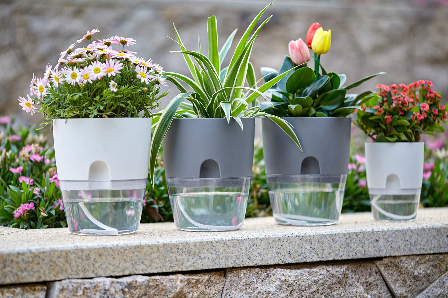 ETGLCOZY Self Watering Pots for Indoor Plants, 5 Pack 6/4.1/3.2 Inch Flower Pot Modern Decorative Plastic Planter with Extra Large Water Storage for All House Plants, Flowers, Herbs(White)