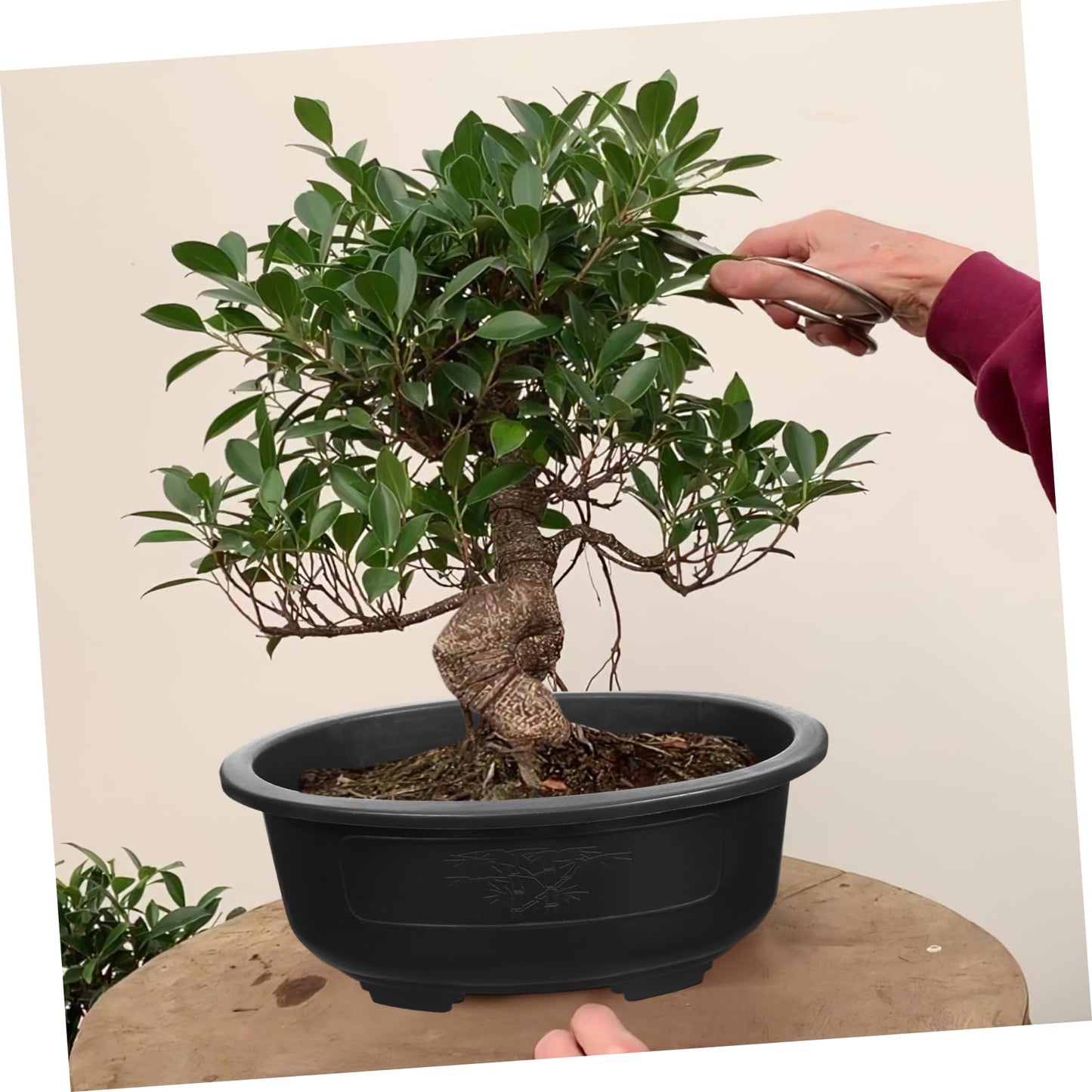 DOITOOL 2Pcs Bonsai Training Pot 15 inch Plastic Flower Pot Bonsai Pot with Drainage Hole, Oval Bonsai Planter Pot Plants Growing Pots for Nursery, Garden, Balcony, Black