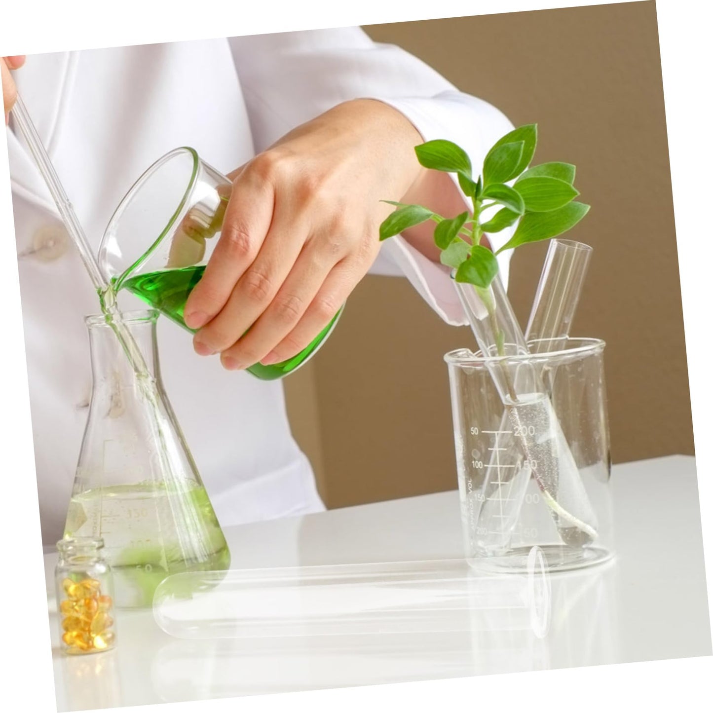 ifundom 4pcs Glass Test Tube Vase Flower Plant Decor for Hydroponic Water Tube Vase Terrarium Decor