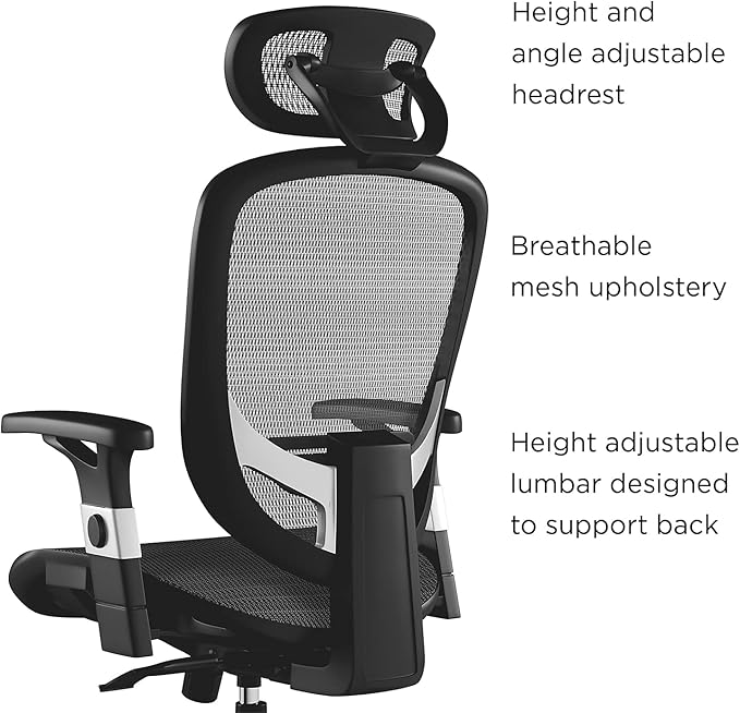 Union & Scale Ergonomic Task Chair