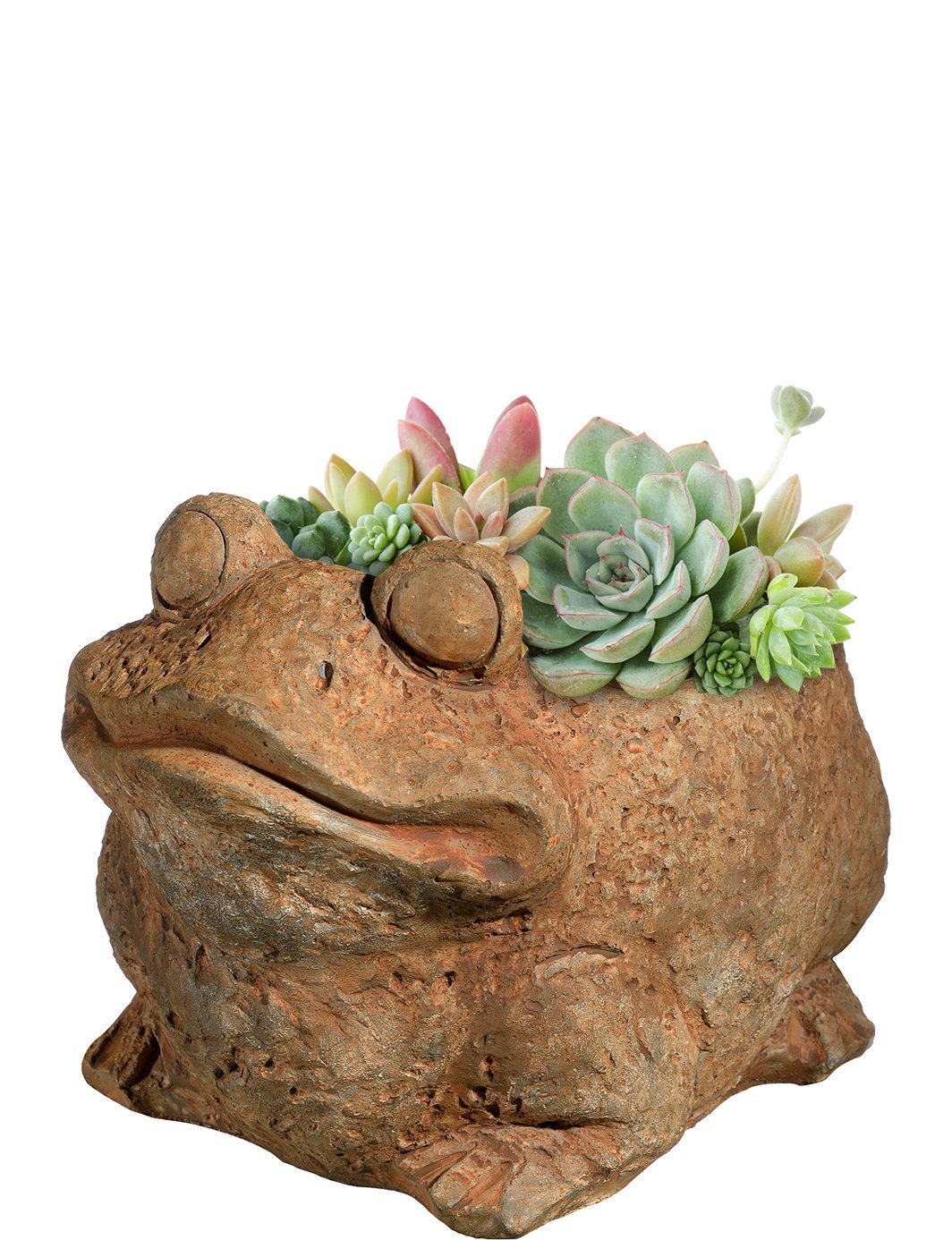 Classic Home and Garden Cement Buddies Animal Planter - Cute Desk Decoration - UV Coated Animal Vase w/Drain Plug - Succulent Plant Pot for Indoor/Outdoor Use (Frog Planter, Rust, Small)