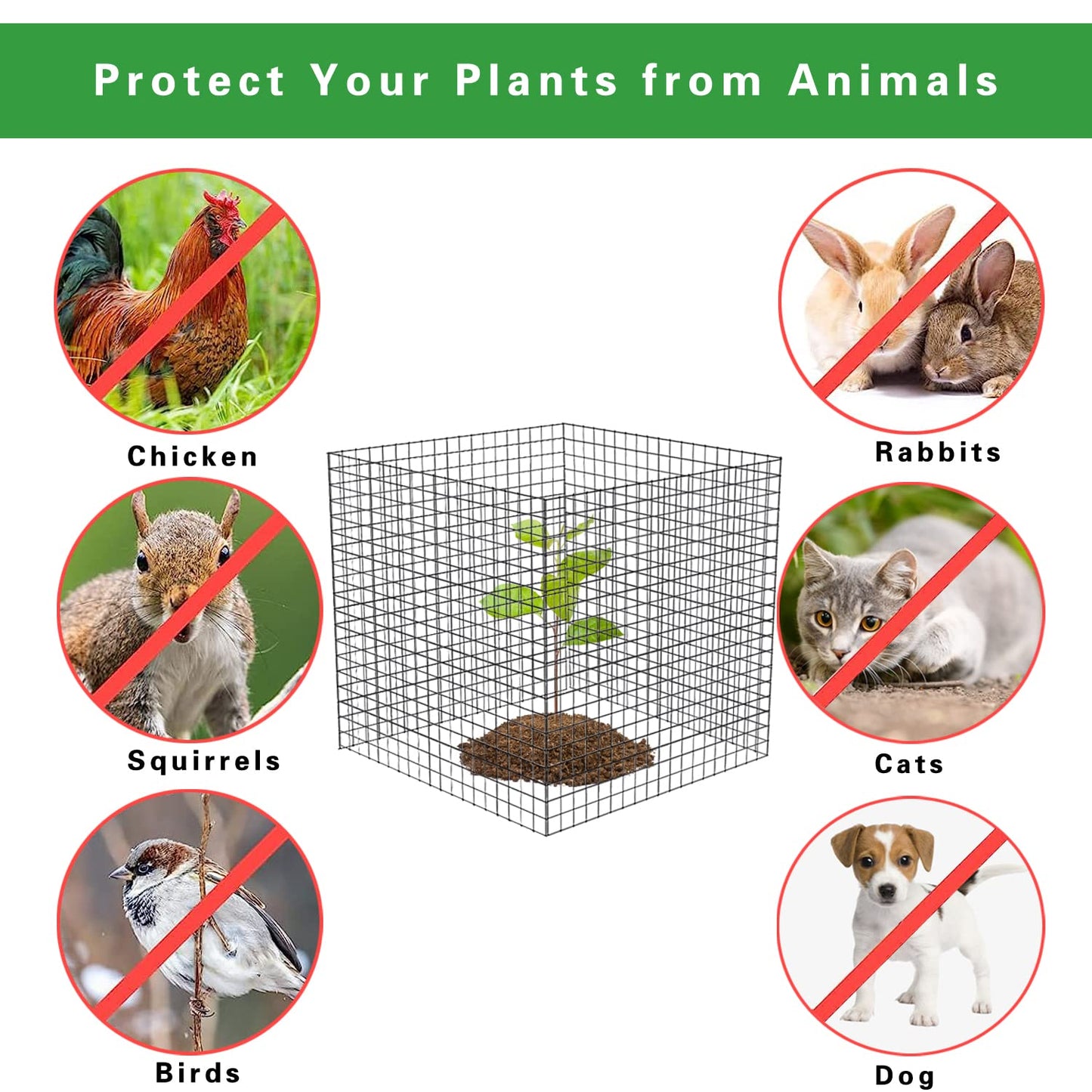 20 Pcs Plant Protector from Animals, 5 Pack 12'' x 12'' Reusable Metal Square Plant Cages, Wire Mesh Garden Cloches to Keep Rabbits, Squirrels and Chicken Out and Protection Vegetables Flowers Shrubs