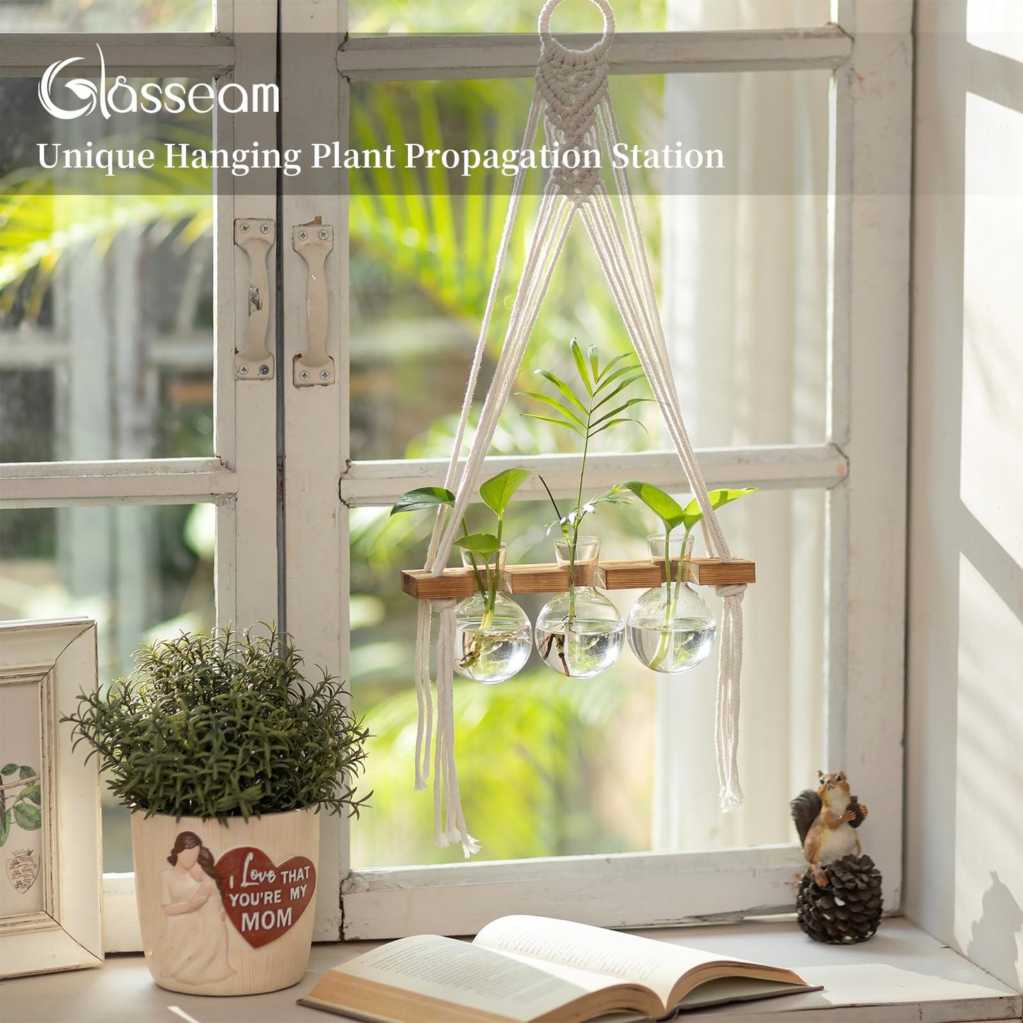 Glasseam Hanging Macrame Propagation Stations: Wall Window Glass Propagation Vases for Hydroponics Plants - Boho Decor Small Plant Terrarium Jars - Gifts for Women Mom Plants Lovers