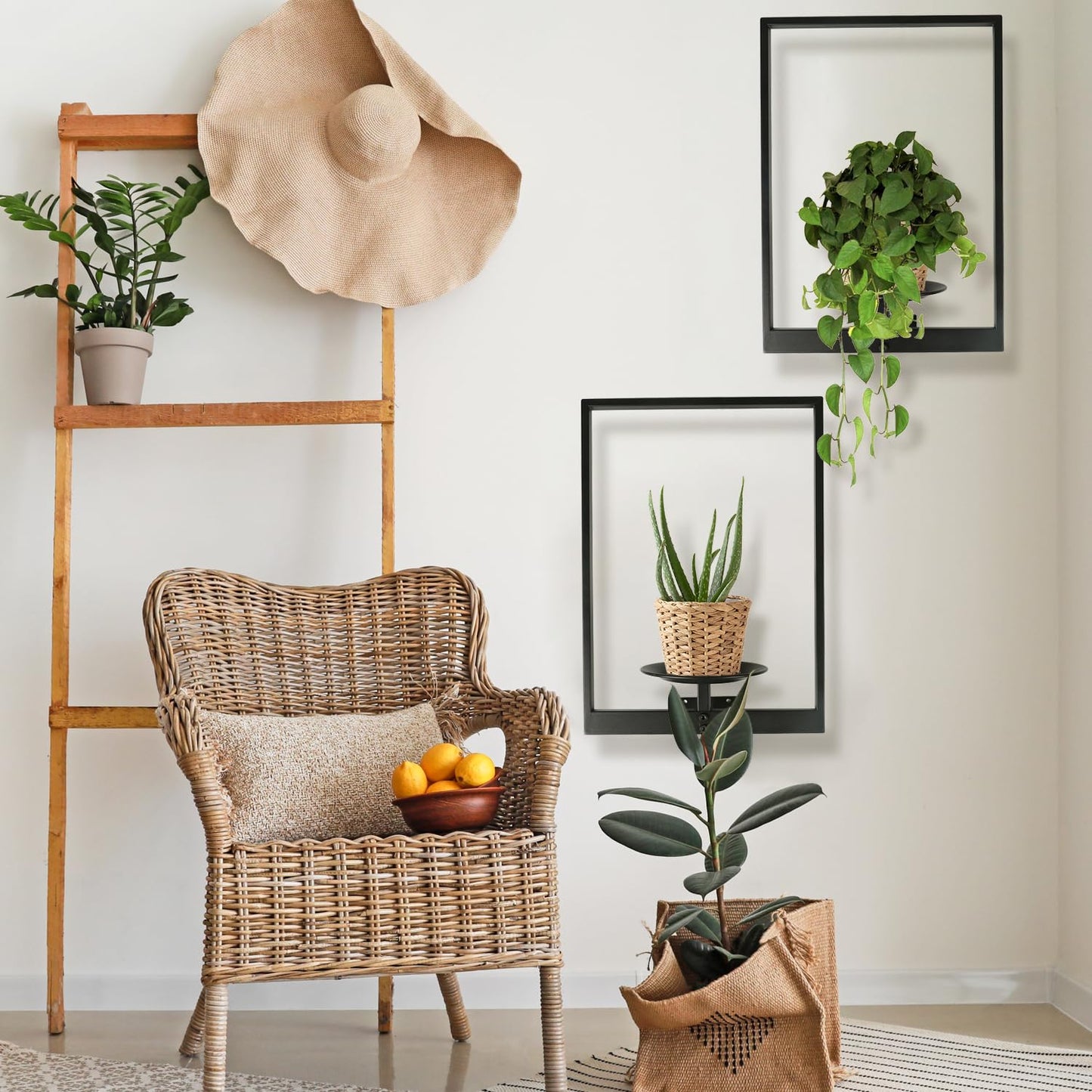 SUNLITOPTO Plant Wall Shelf, Metal Modern Style Frame, Picture Wall Plant Holder, Plant Frames for Living Space Decor Display Stand for Living Room Balcony Garden Patio (2 PACK(BLACK))