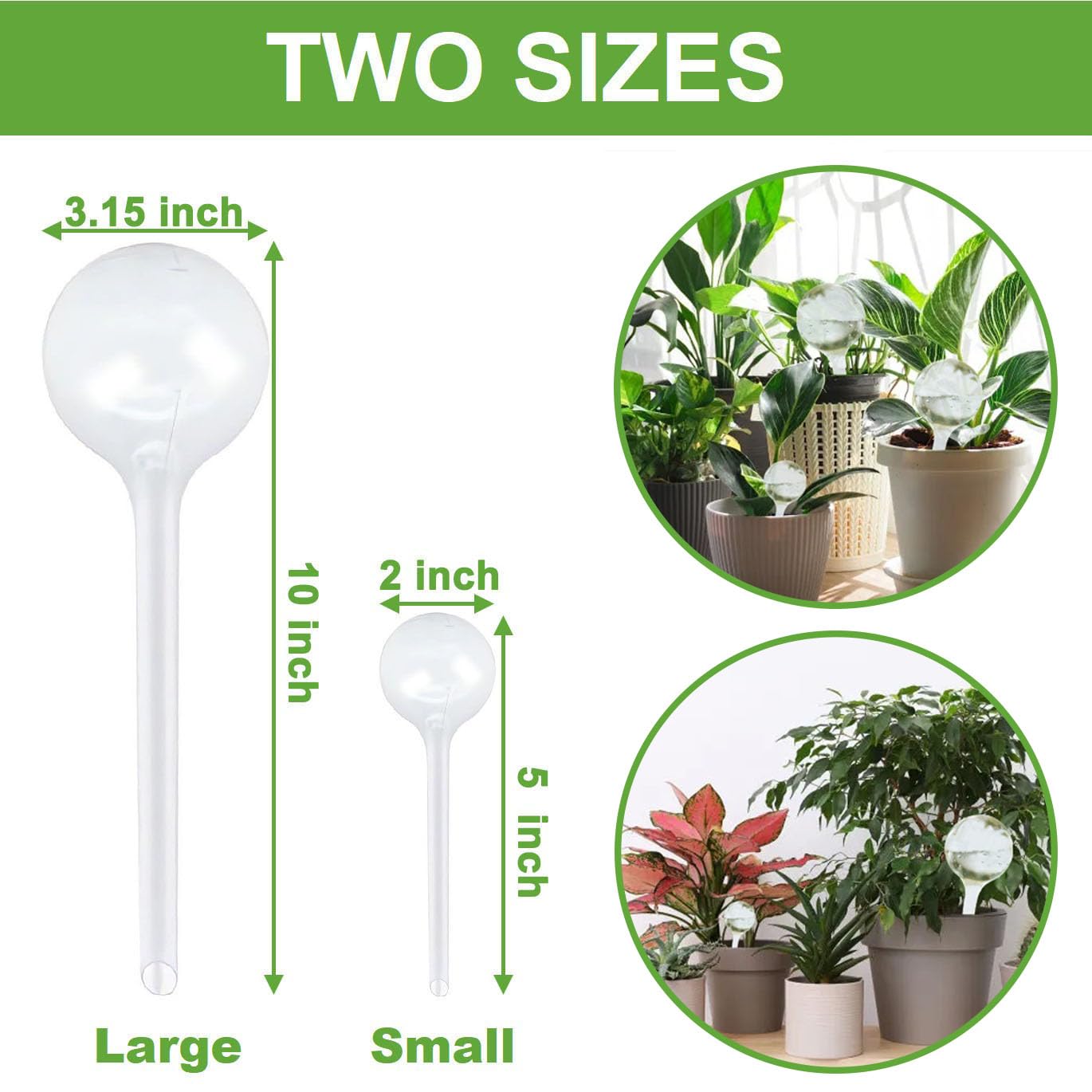 Plant Watering Globes, Self Watering Bulbs for Indoor & Outdoor Plants, Plastic Self-Watering Balls Automatic Water Irrigation Device (Clear, Large 12 Pack)
