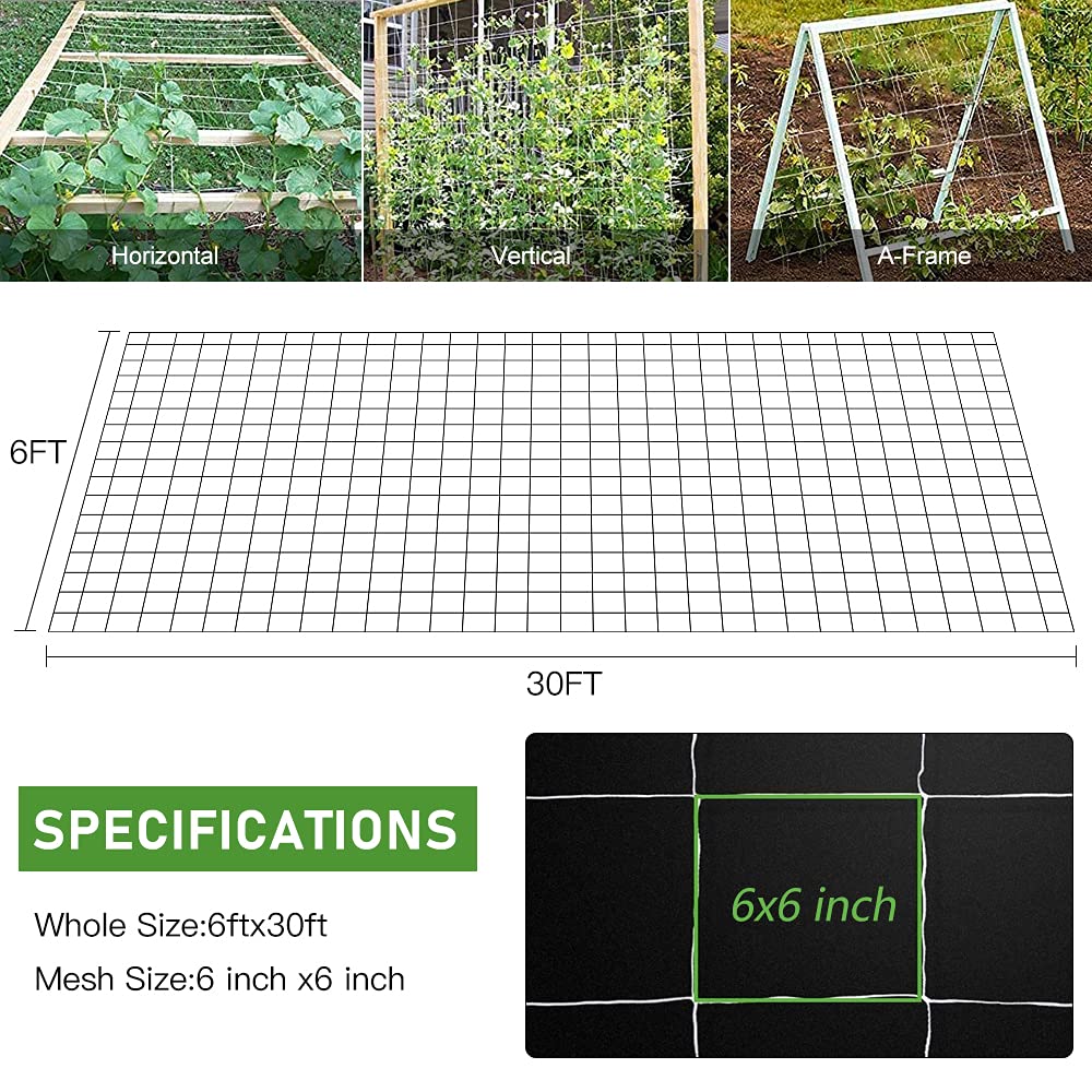 Trellis Netting, CANAGROW Heavy-Duty Garden Plant Trellis Netting for Climbing Plants, Outdoor Indoor Grow Net for Beans Tomatoes Peas Pumpkin Flowers, 6x30ft, 1 Pack