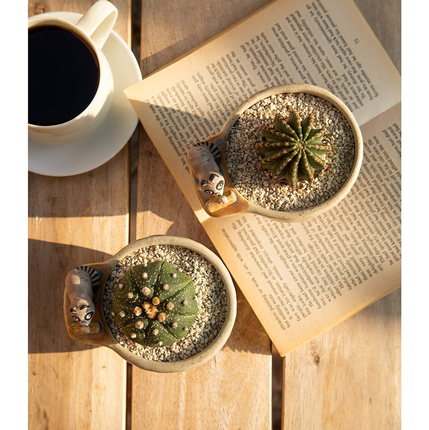 MAKOLO Ceramic Succulent Planter Small Pot with Drainage Hole and Tray for Cactus Flower Plant Container Shelf Home Office Desk Decoration (Raccoon)
