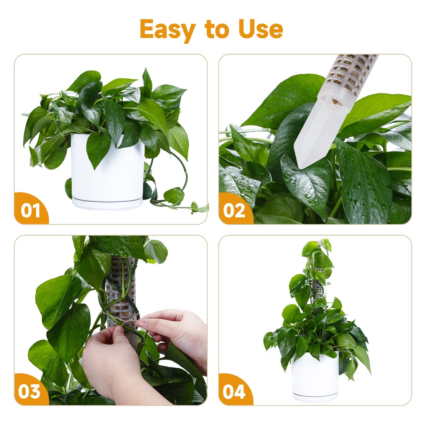 Phoedg Pre-Filled Sphagnum Moss Pole for Climbing Plants, 25.4 Inch Extendable Plant Stakes, Reusable Plastic Moss Support Poles, Long-Lasting Moisture for Pothos & Monstera Growth