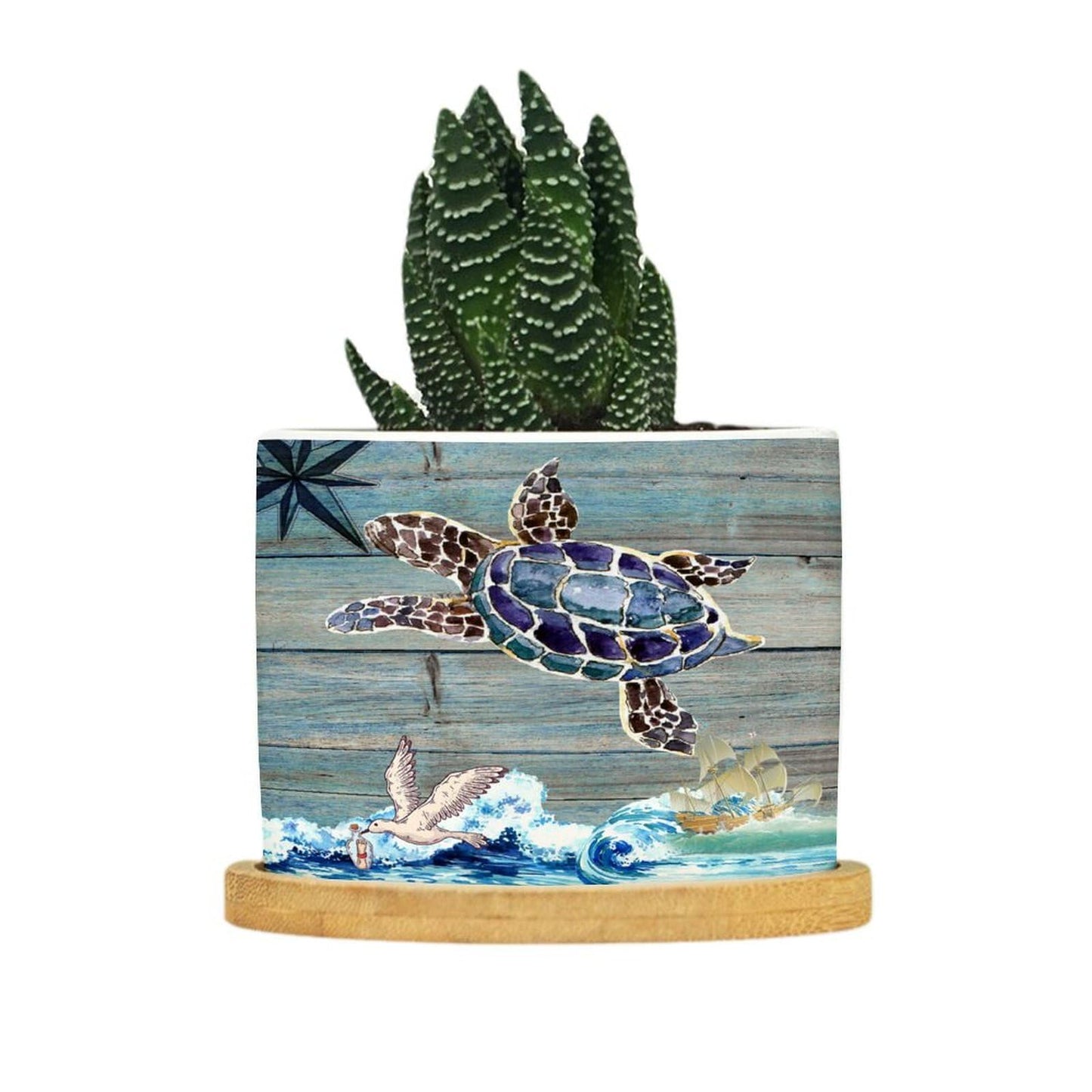 DreamAutumn Ocean Theme Sea Turtle Planter Ceramic Round Plant Pots with Drainage Holes and Bamboo Tray Planting Small Flower Pots for Home Windowsill Desk Garden Indoor Outdoor Use