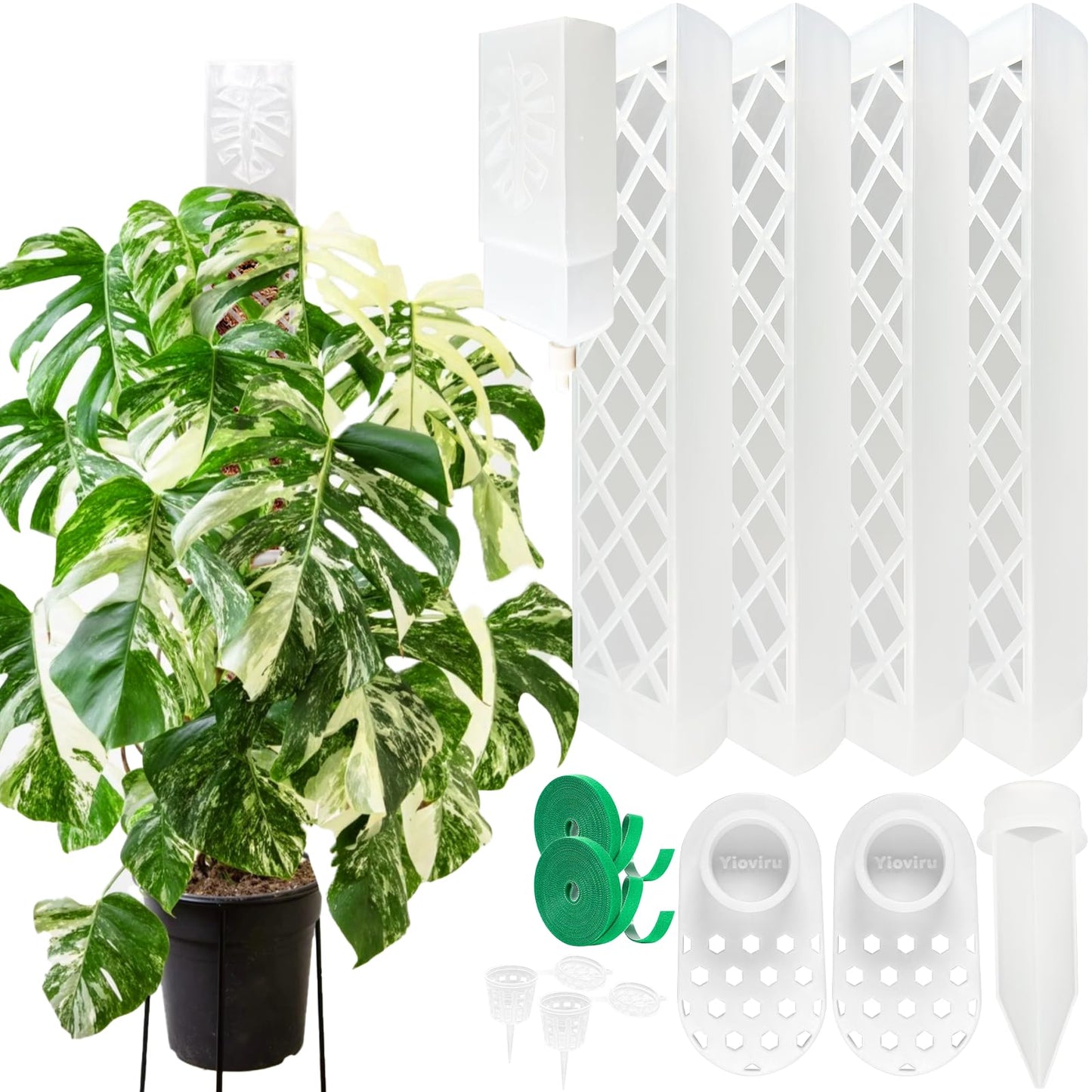 4 Psc 9 Inch D Shaped Moss Pole with Watering Dripper, Plastic Moss Poles for Climbing Plants, Sturdy Monstera Plant Support, Self Watering Moss Pole Kit for Plants Indoor(Translucent)