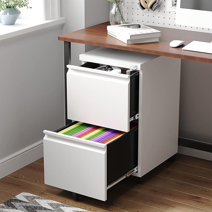 Letaya 2 Drawer Mobile File Cabinet