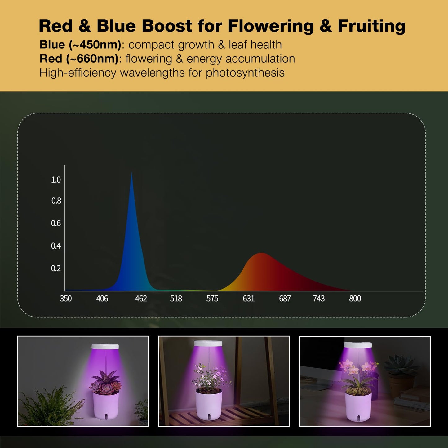 Raygrov Self-Watering Planter with Grow Light, Smart Indoor Pot for Venus Fly Trap, Carnivorous Plants, African Violet, Cat Grass, Catnip & Herbs, 2-in-1 Wall + Desktop, USB 5W Full Spectrum LED