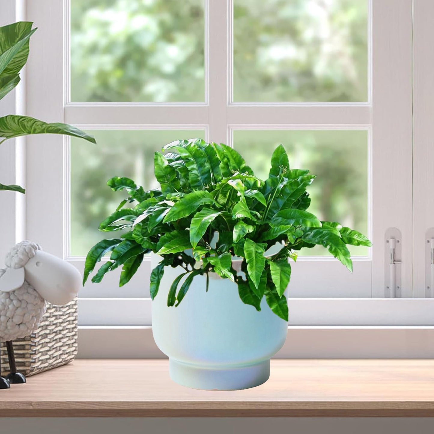 LB Blue Ceramic Planters for Indoor Plants, Succulent Plant Pots Ceramic Plant Pot, Modern Flower Pots for Living Room Office Home Decor, Round Flower Pot of 4.3 Inch(Plant Not Included)