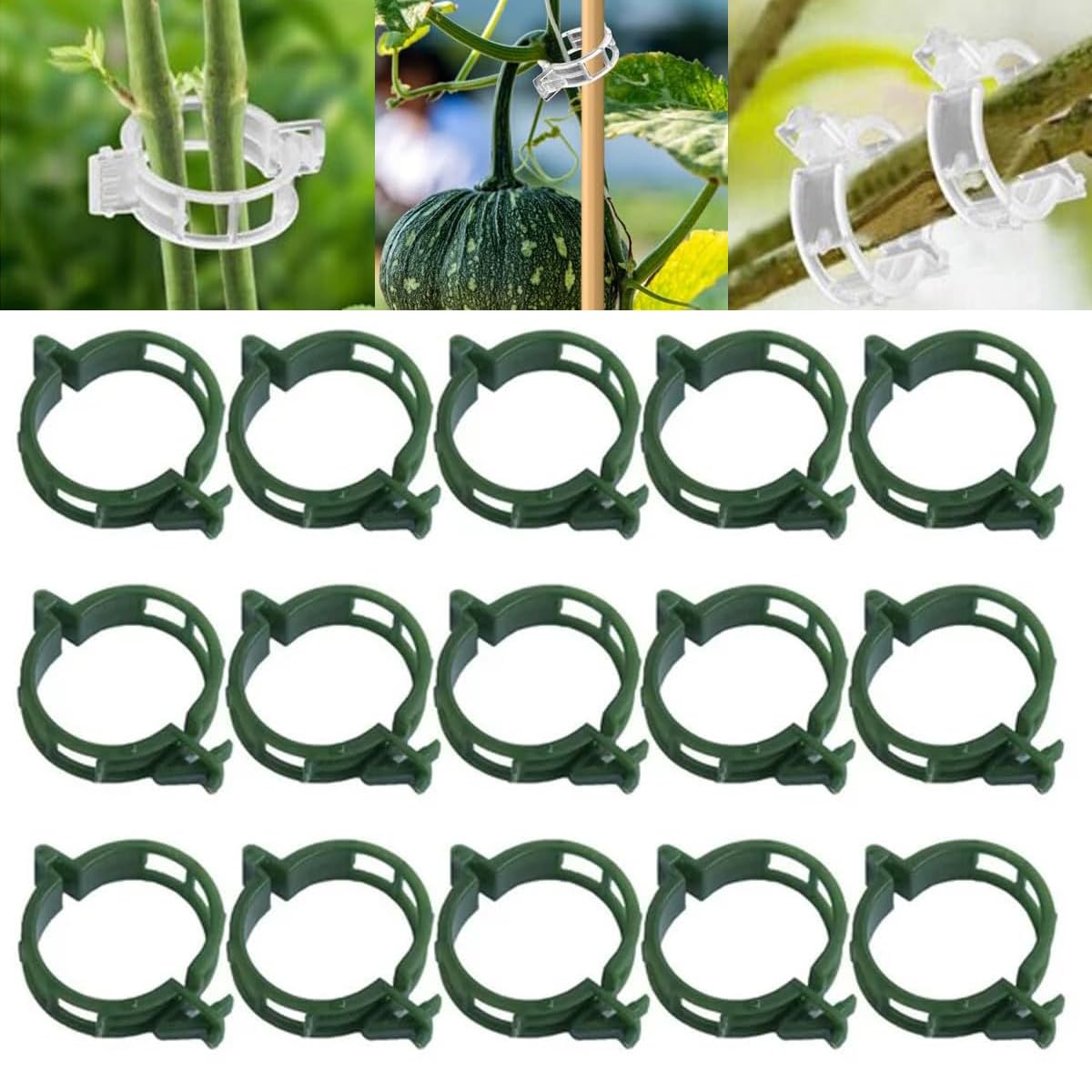 Plant Support Clips, Garden Clips for Climbing Plants, Tomato Clips Plastic Plant Clips, Plant Clips for Support Grape Tomato Vegetables Plants to Grow Upright Makes Plants Healthier (200, Green)