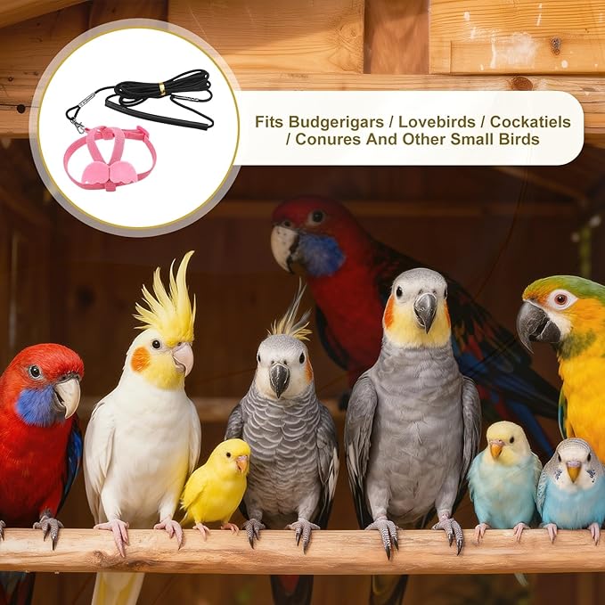 Bird Harness Leash, Adjustable Pet Parrot Bird Harness and Leash Lightweight Anti-Bite Flight Training Rope with Cute Wing, (Pink, M), Intended for Parrots/Pigeons/Budgies