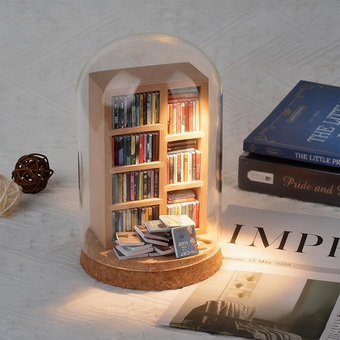 Anxiety Bookshelf, Miniature Bookcase, Mini Bookshelves