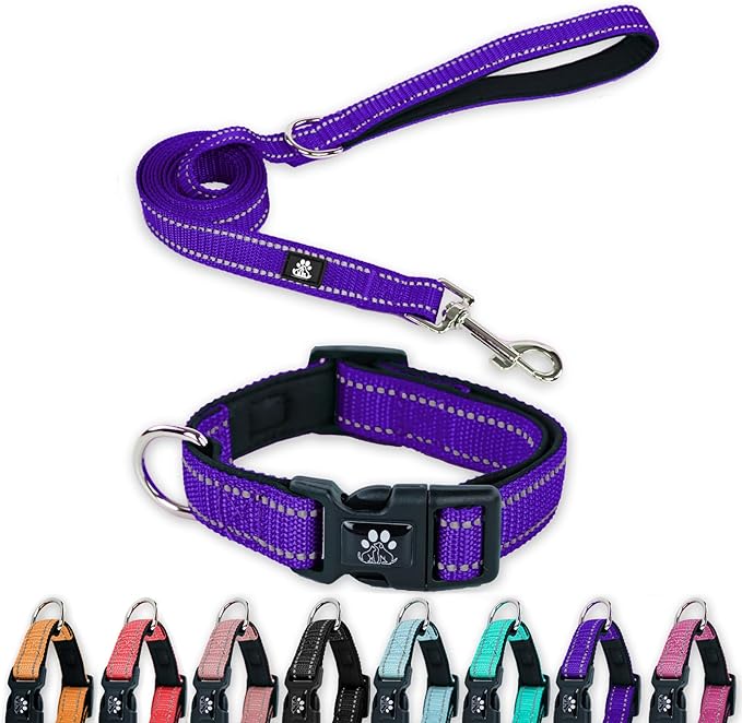 FURRYFECTION Reflective Dog Collar and Leash Set with Quick Release Buckle, Padded with Neoprene Adjustable Nylon Dog Collar for Small Medium and Large Dogs (Large Collar+5FT Leash, Purple)