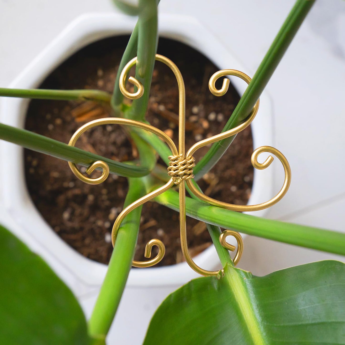 YOHSNOR 5PCS Monstera Plant Support System 4.1IN - Durable Hook Stem Supports for Healthy Growth, Stabilizer for Leaves and Turtle Shells, Easy-to-Use Indoor Plant Care, Ideal Present for Plant Lovers