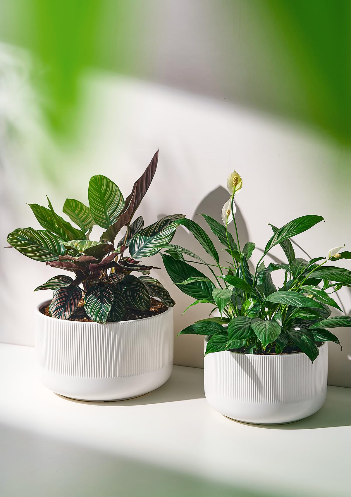 Jardin Tesoro Ceramic Planters - 10+12 Inch Large Pots for Indoor & Outdoor Plants, Modern Flower Pots with Drainage Holes and Self Watering Devices, House White Big Plant Pot, Set of 2