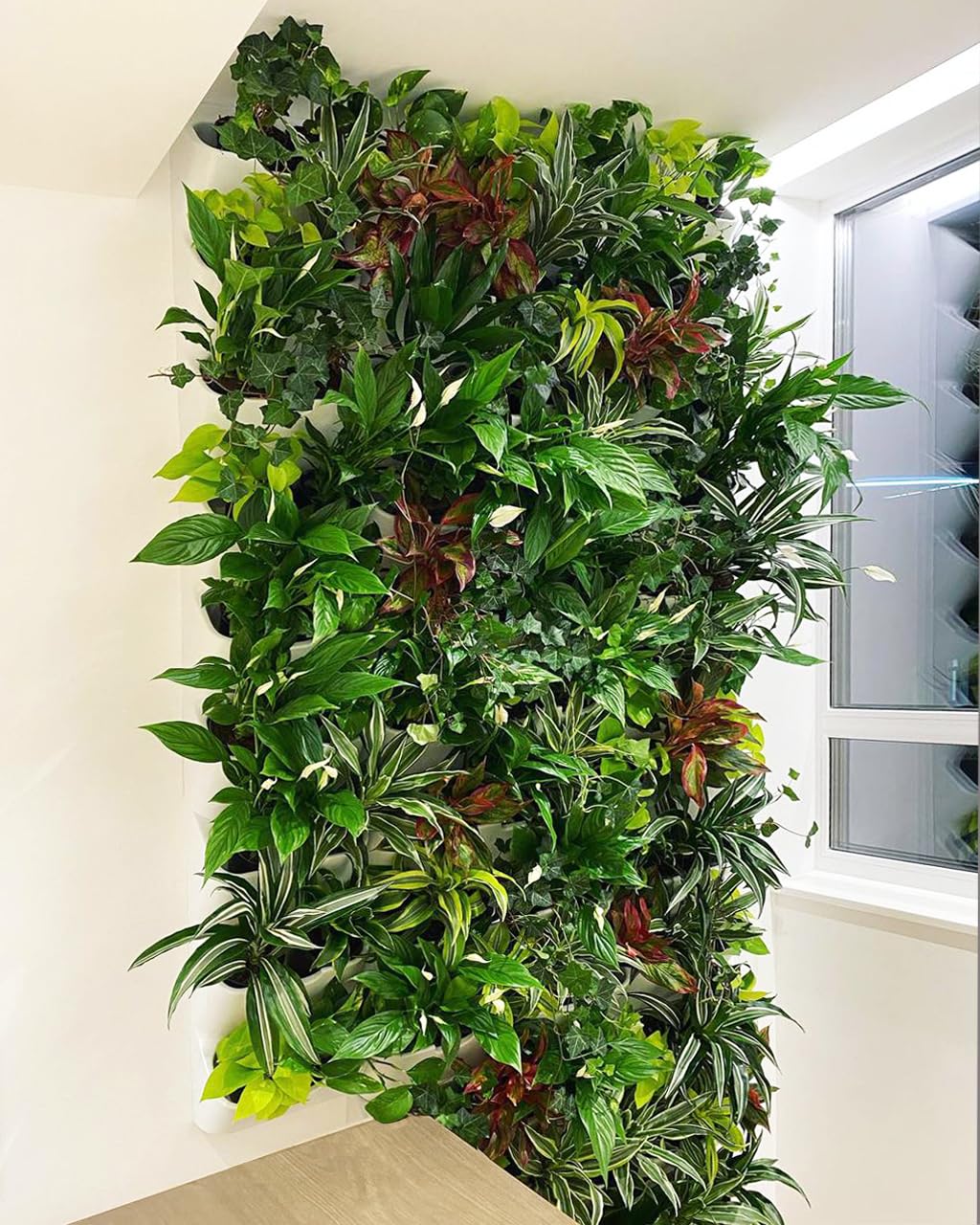 BOXSAND-6 Vertical Wall Planter (12"x26", Black with Square Pots) – Living Wall for 6 Plants, Indoor/Outdoor Vertical Garden System, Easy 2-Screw Install