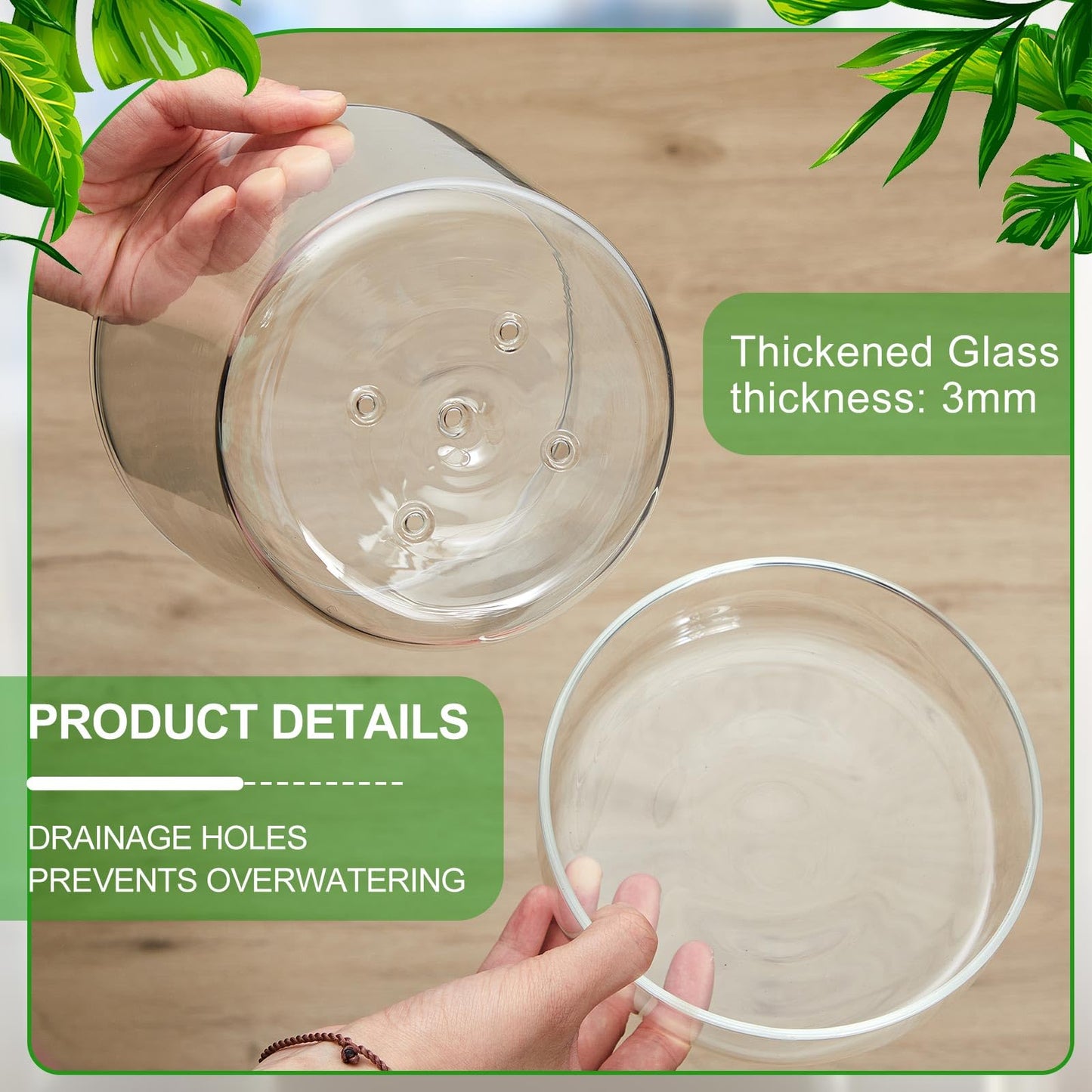 Singhoow 2 Sets 6 Inch Glass Planter with Drainage Hole and Tray Indoor Clear Plant Pots with Saucer Modern Decorative Orchid Glass Pot for Outdoor Flower Plants